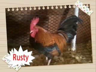 Rusty