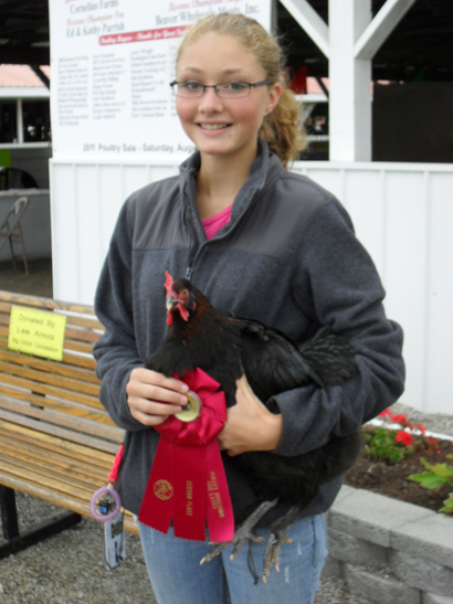 Ry, 2nd Place, Production Class Pullets, 2011 Hartford Fair
