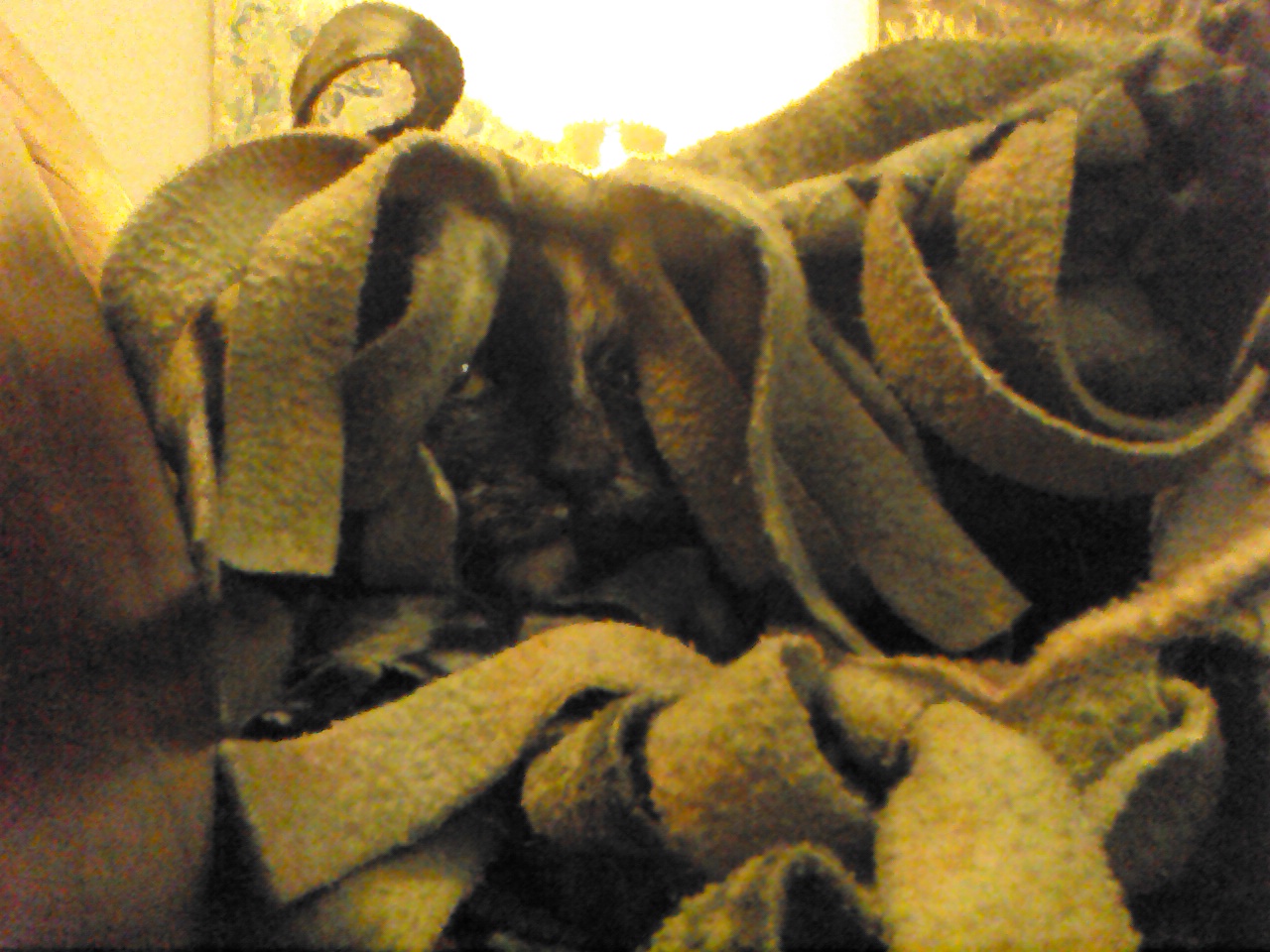 Sadie found a ghillie suit. :P