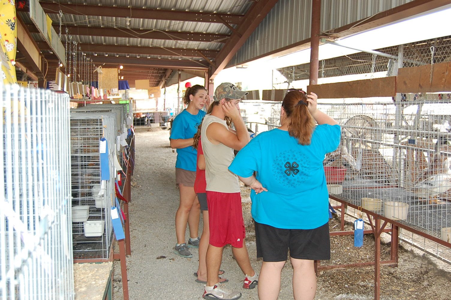 Sally Janet, Chance discussing the harlequin duck saved from heat stroke.