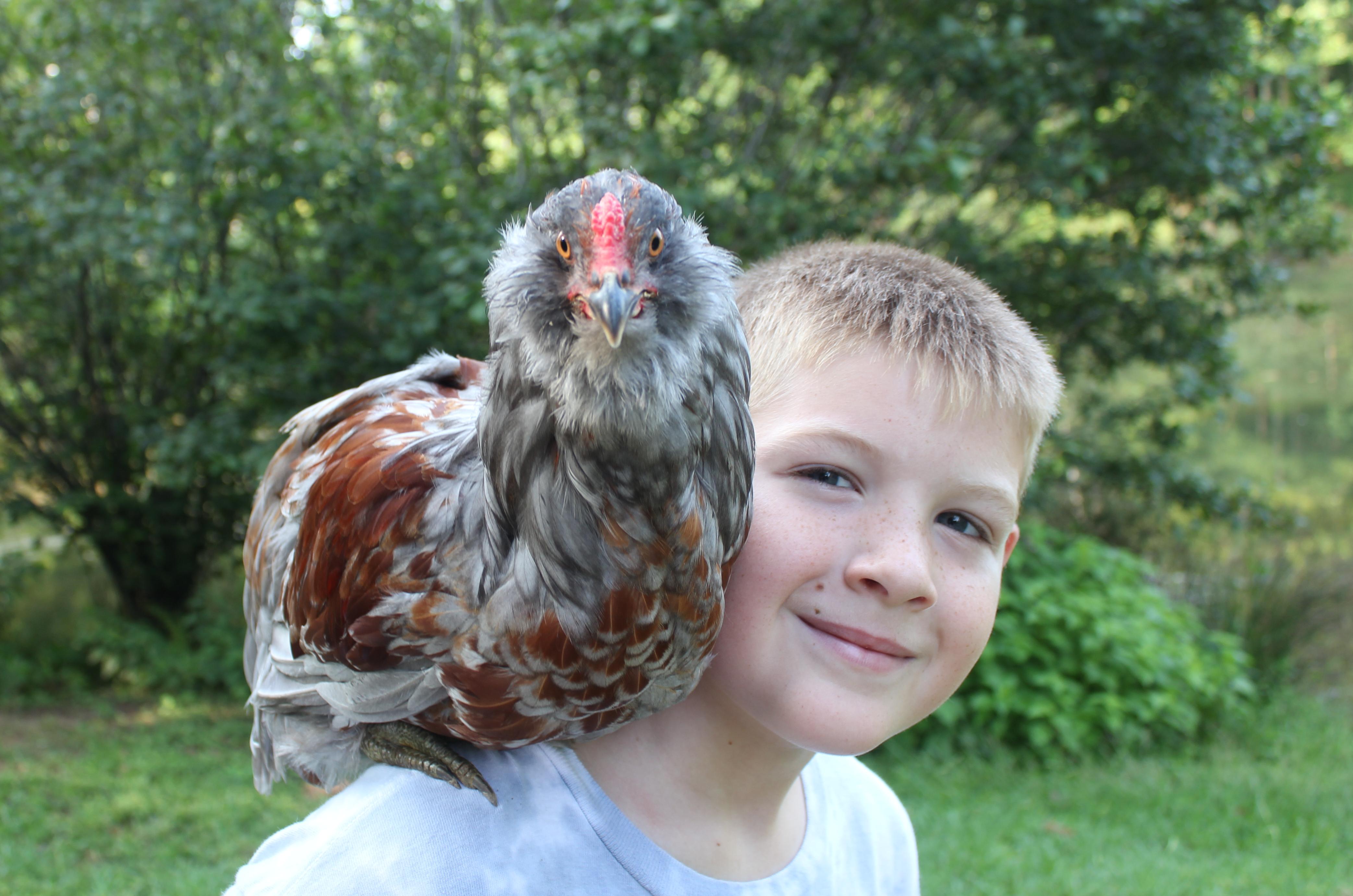 Sam and Jewel the EE Roo