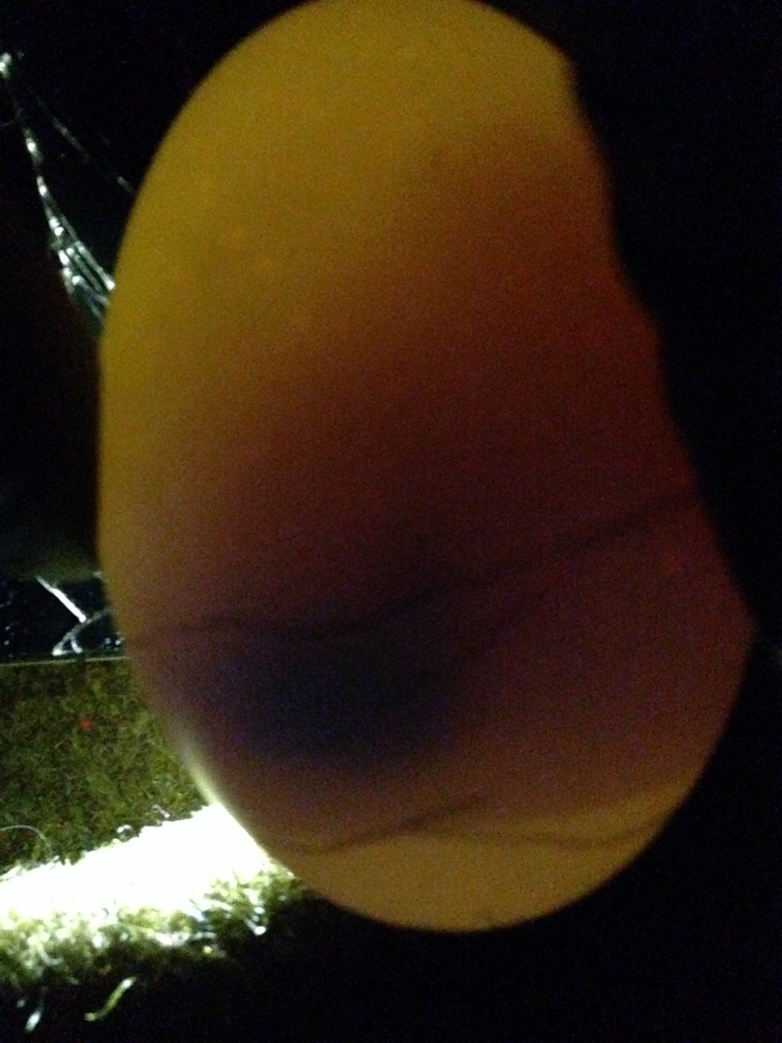 Same egg as previously