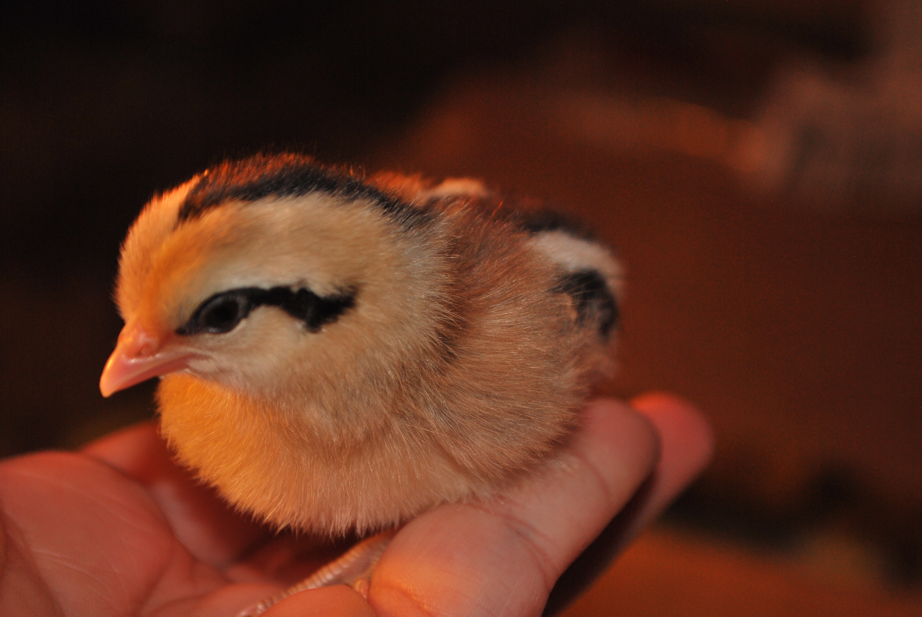 same really little baby.