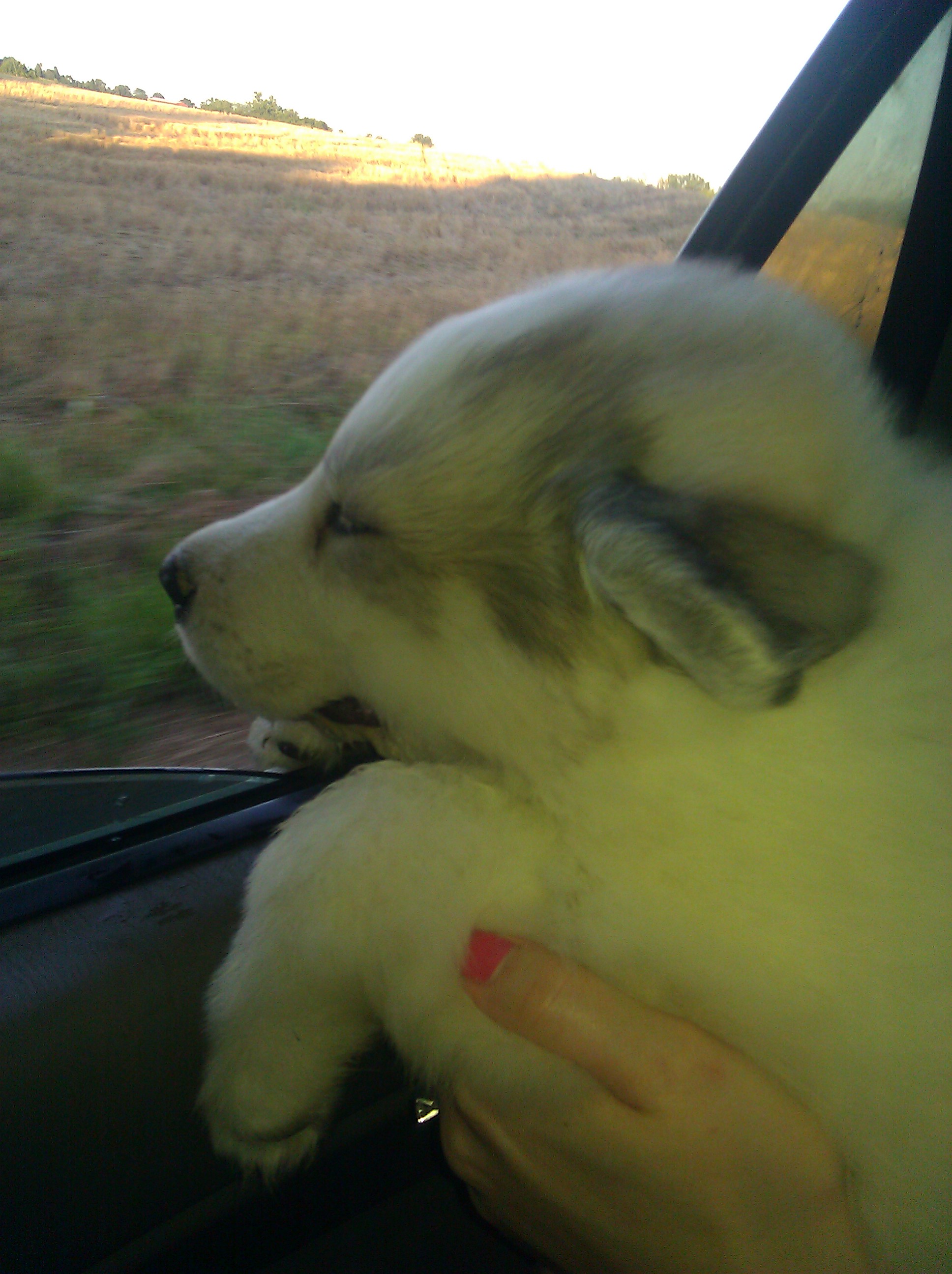 Samson 1'st day ride home