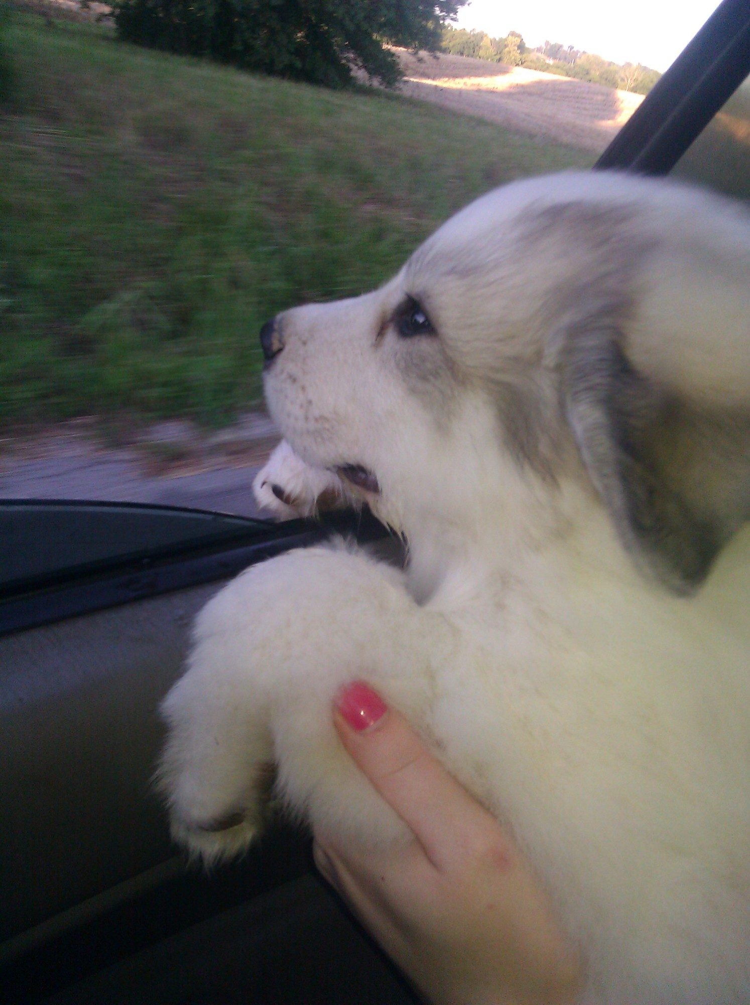 Samson 1'st day ride home