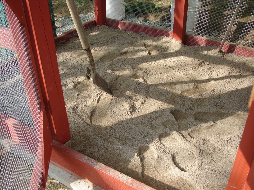 Sand in the run.