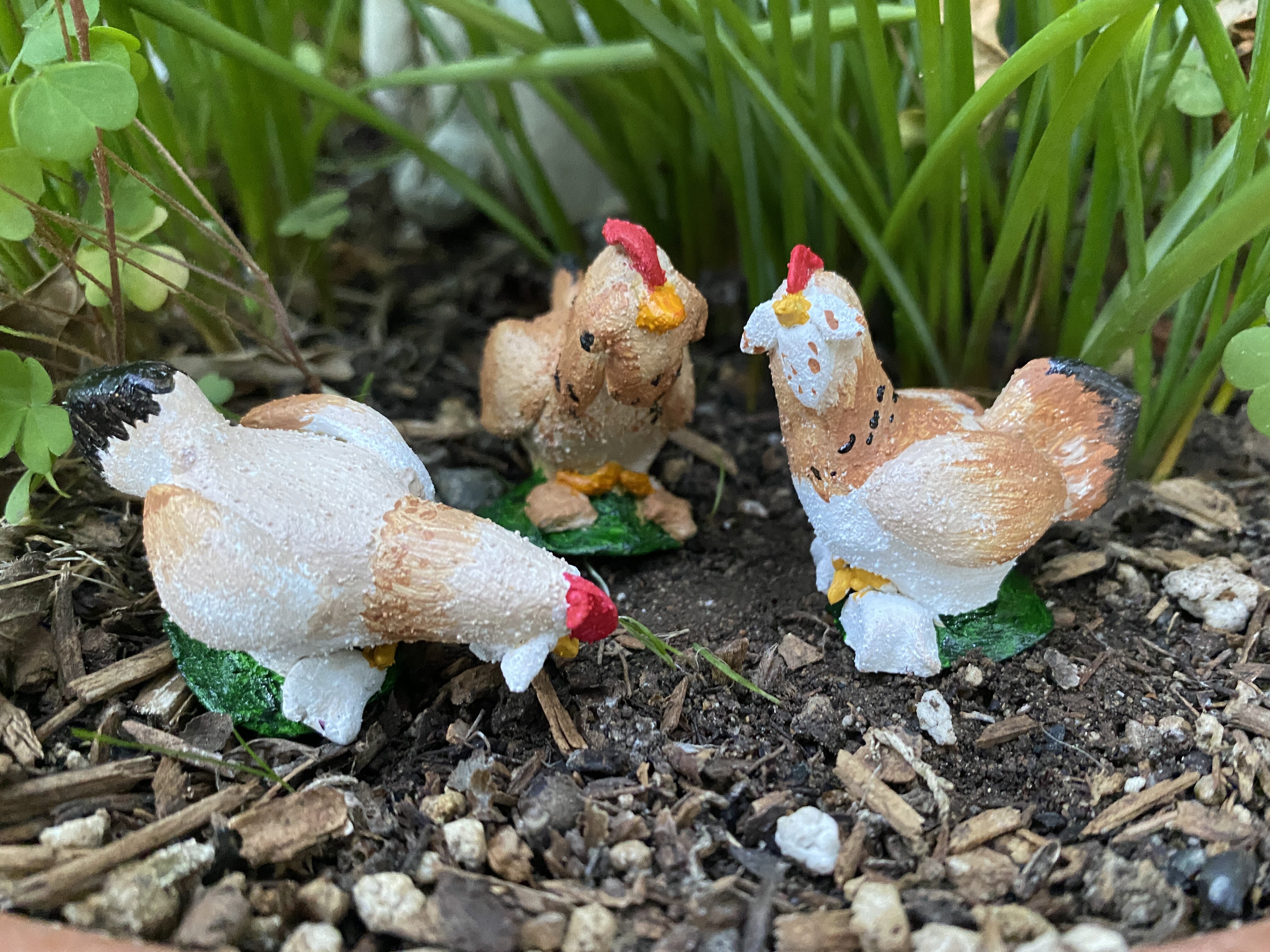 Santa, Coco, and Nikki.