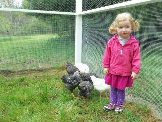 Say "Eggs" and smile for the camera