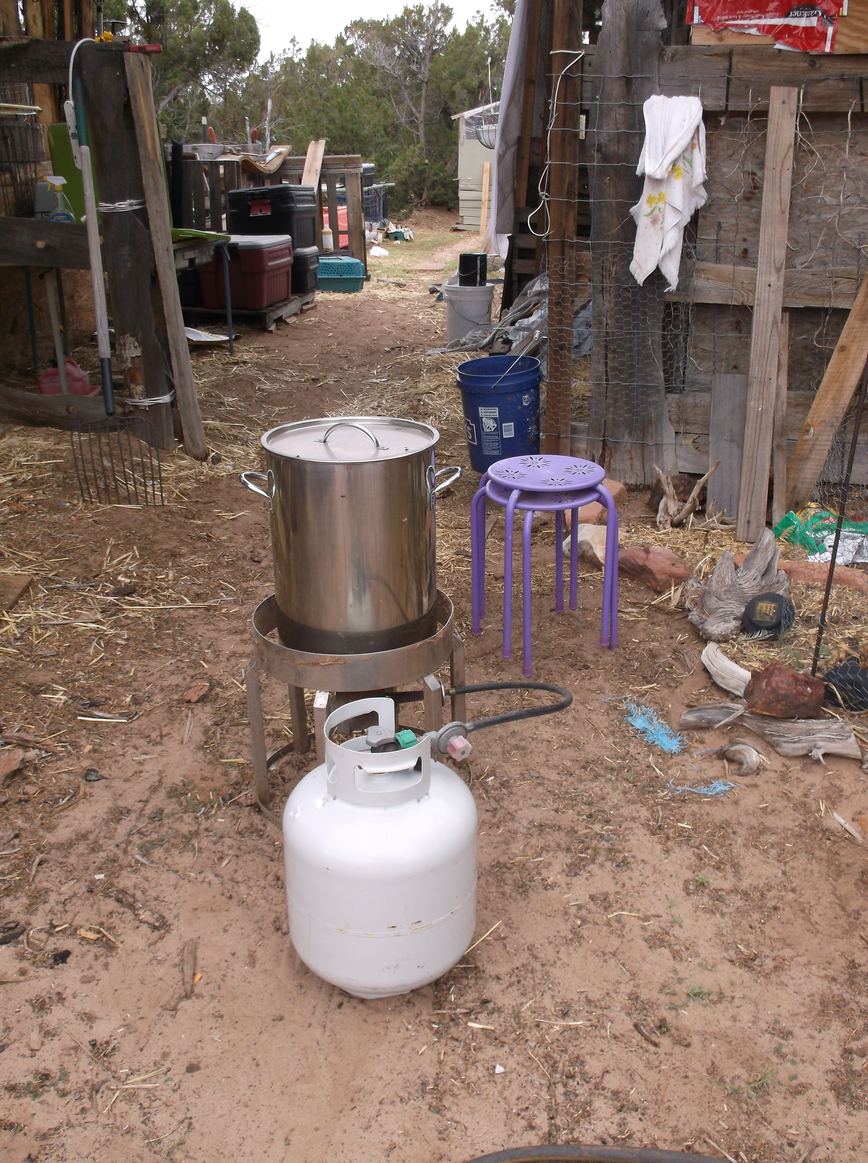Scalding pot is a turkey fryer.