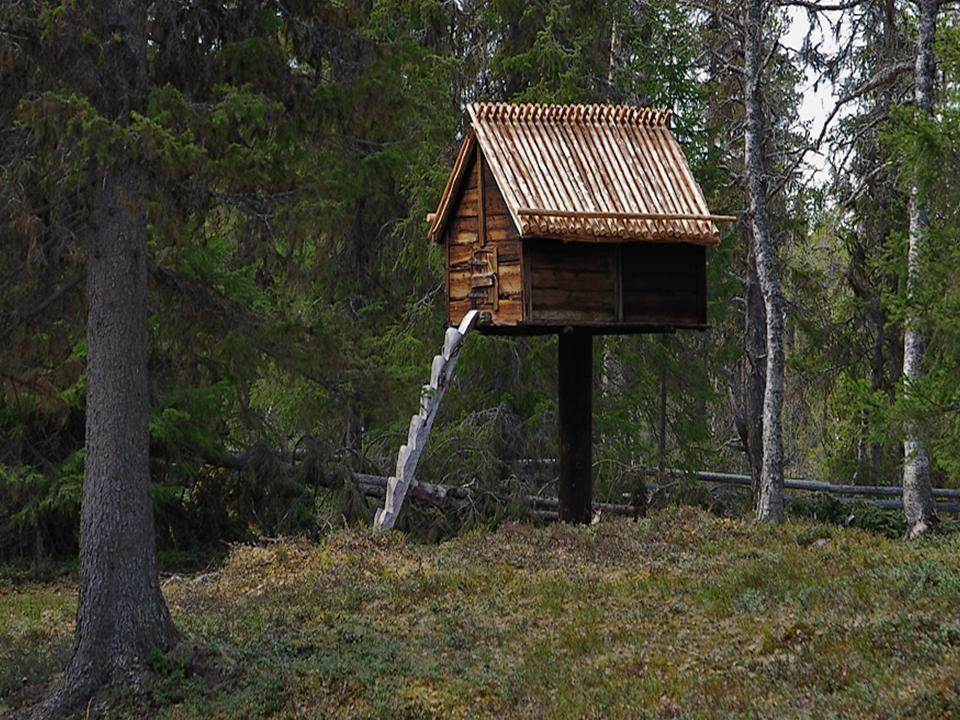 Scandinavian chicken coop