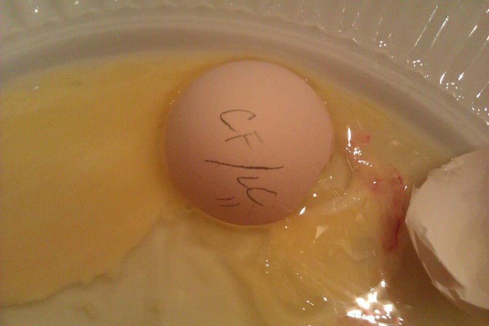 Scrambled