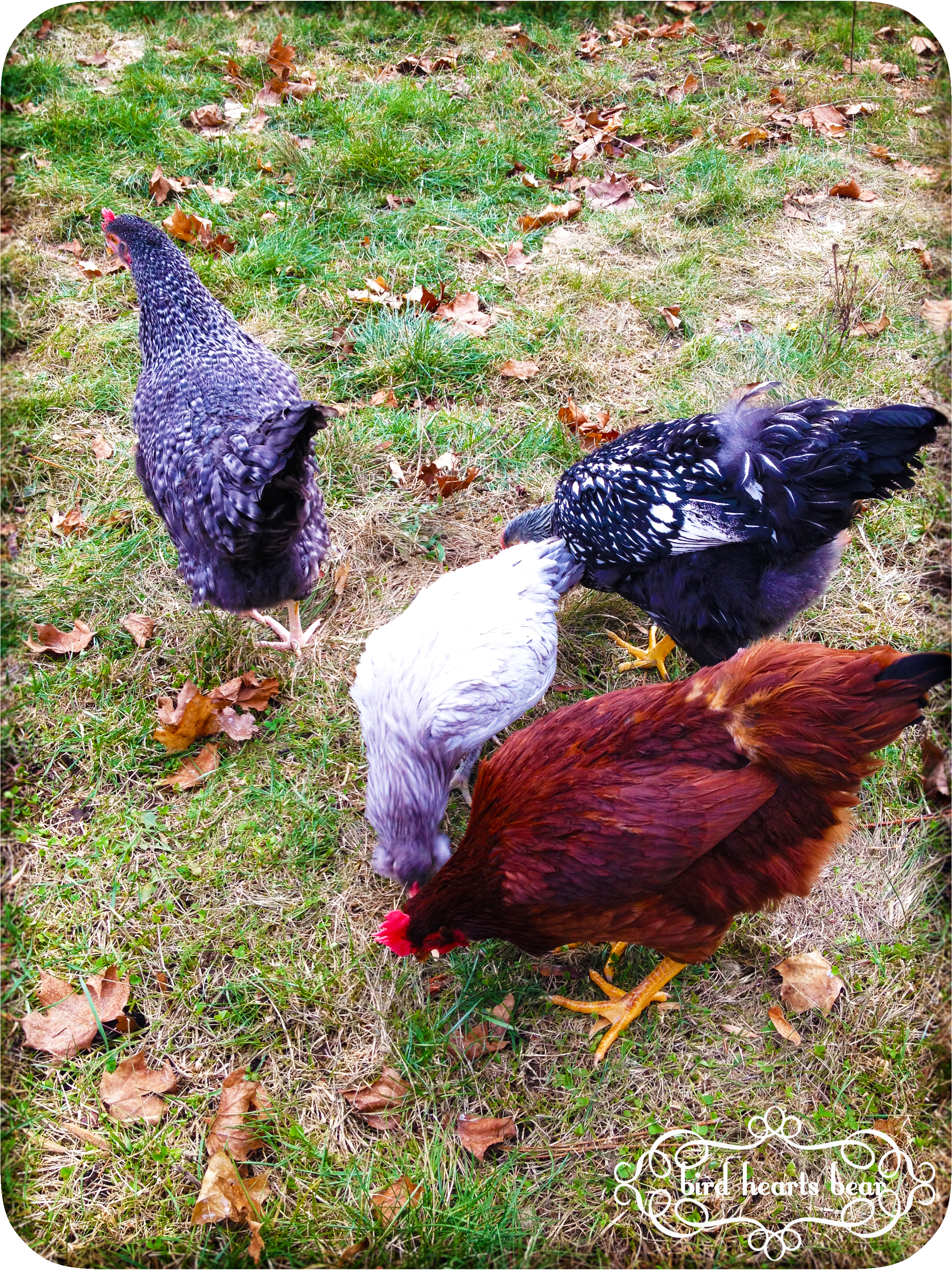 Scratching and exploring.