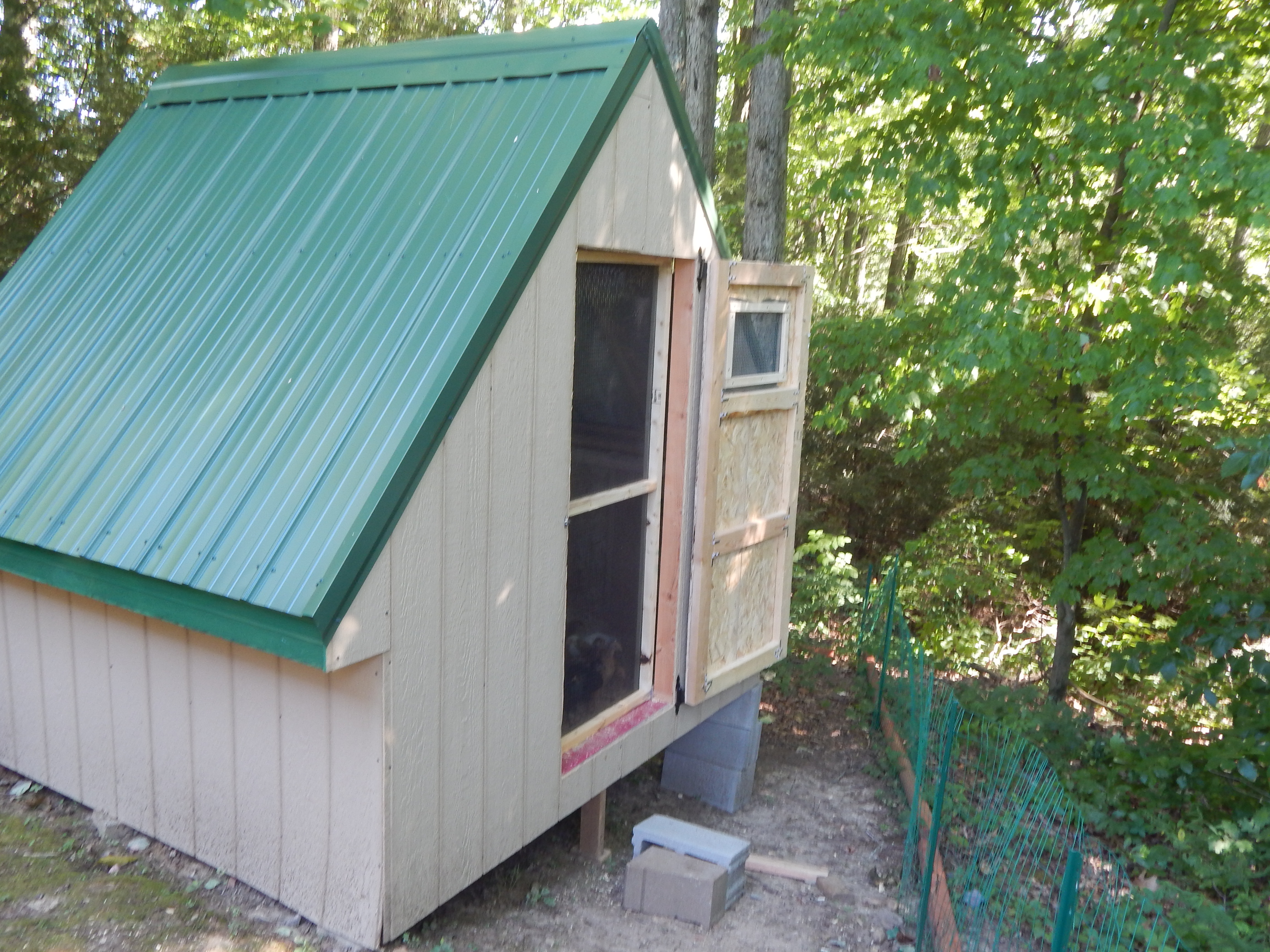 Screen door is on! Getting different hinges tomorrow for it he doesn't like how they went on, my man the perfectionist! I keep reminding him it is just a chicken coop. Now I know the girls have plenty of ventilation! They have started to come running when ever they see me now. I guess they know who has the treats! They are looking out the screen door waiting to get the chance to come outside. But that is on this weekends plans Get the run and chicken door in so they can come outside. The  has screen covered in hardware clothe and instead of using fender washers to hold the hardware clothe in so nothing can pull it away I went around it with a trim board and screwed it down. I used screen with the hardware clothe to help keep the wasp out.
