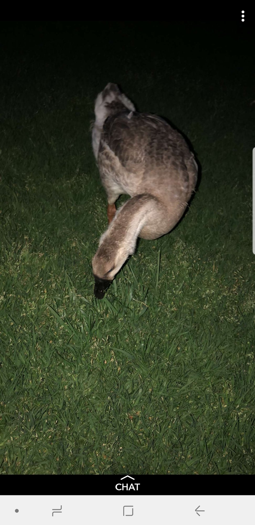 Screenshot_20180503-210245_Snapchat