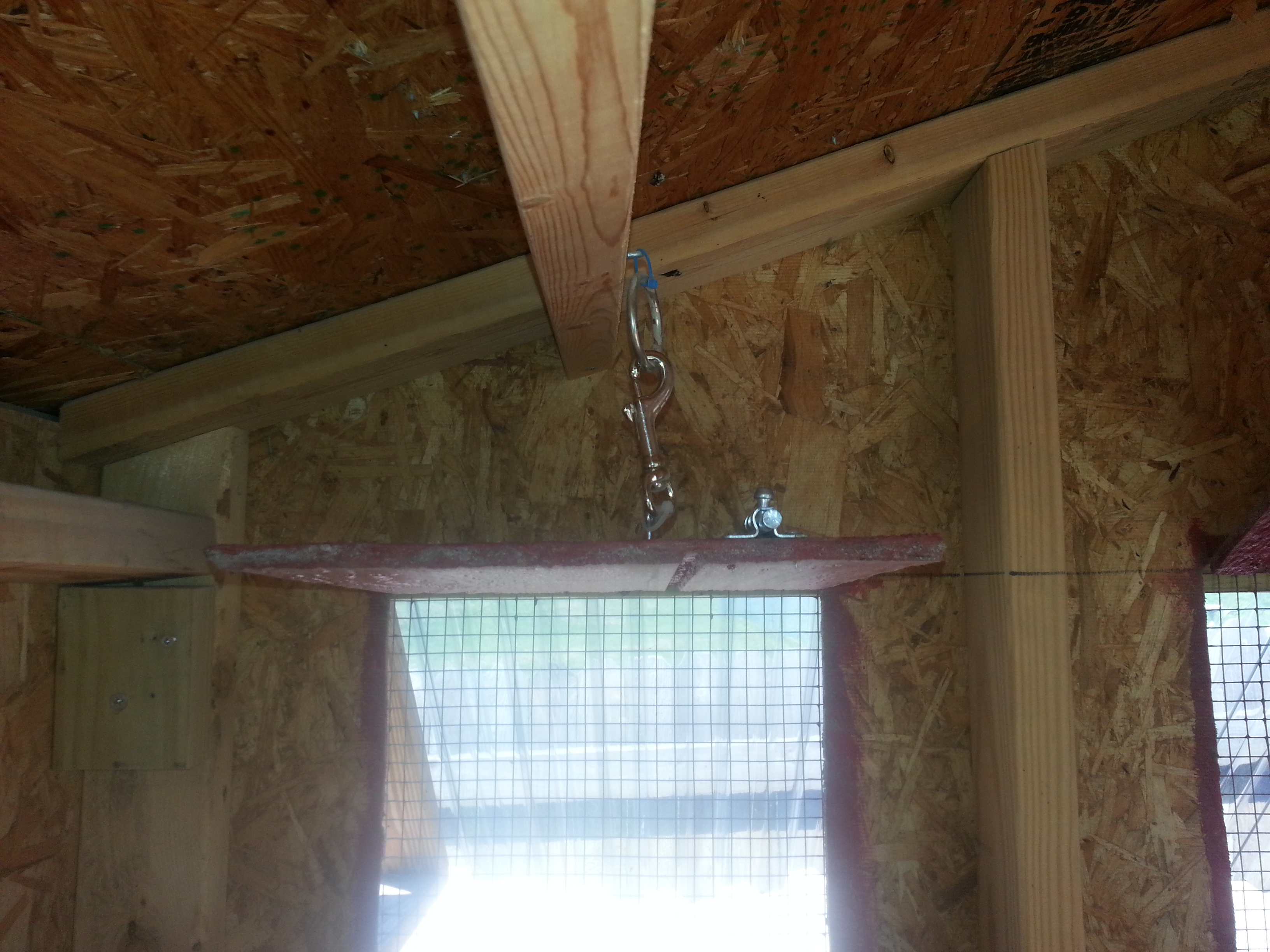 second window at back above roosts, shows the latch and the hook to keep open