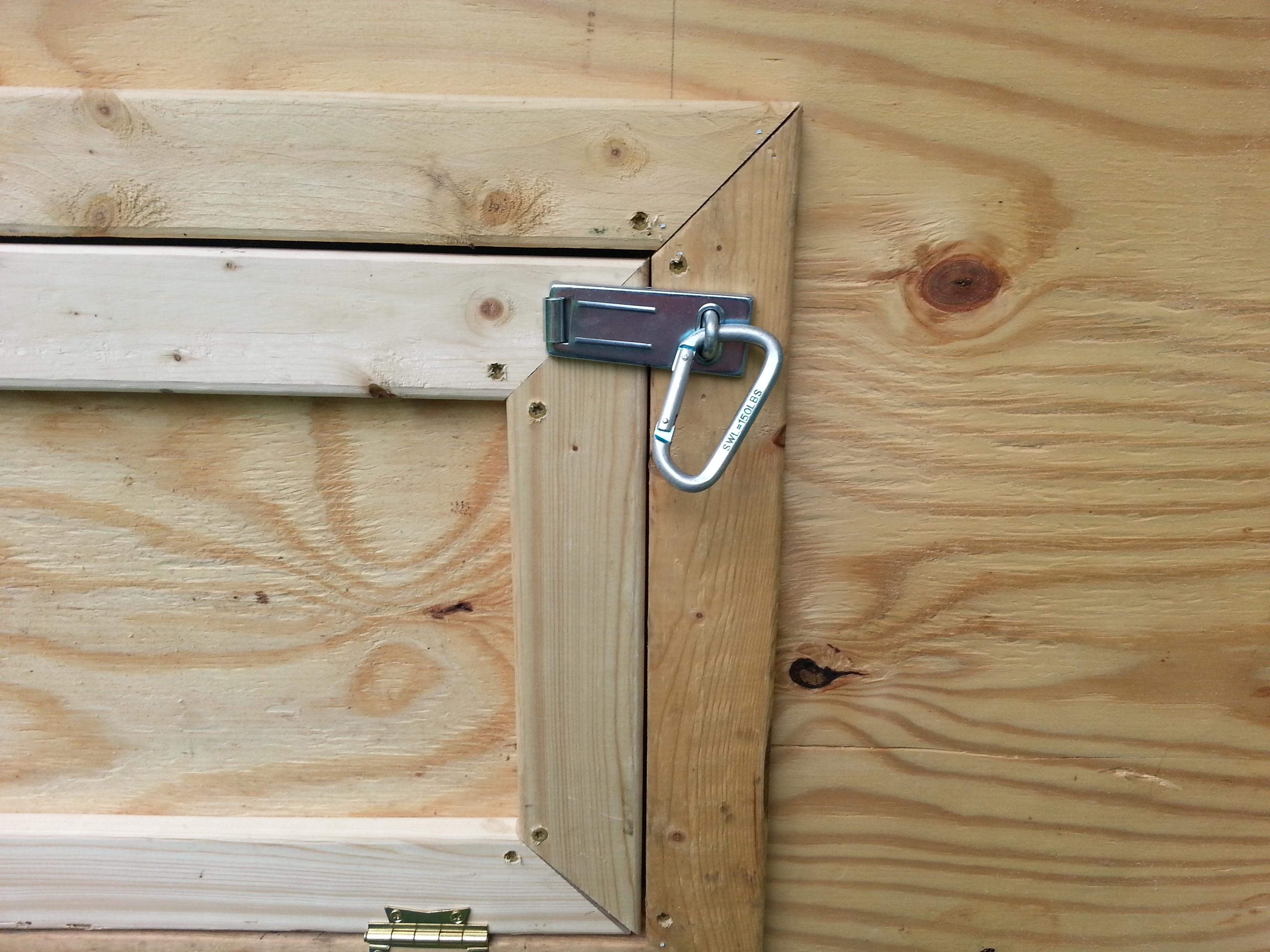 Security hasp for the nesting box door.