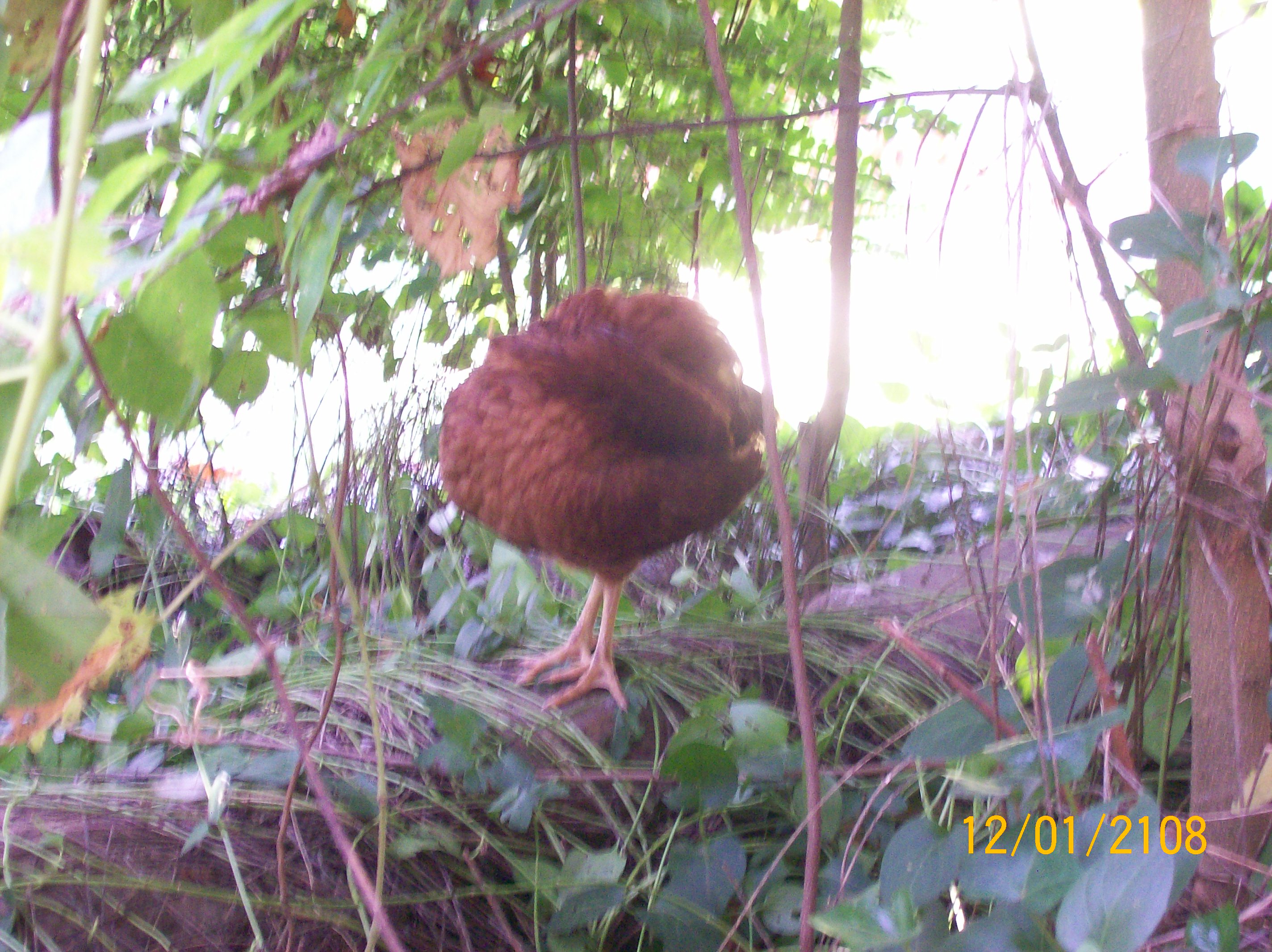 seem's to be a fav spot