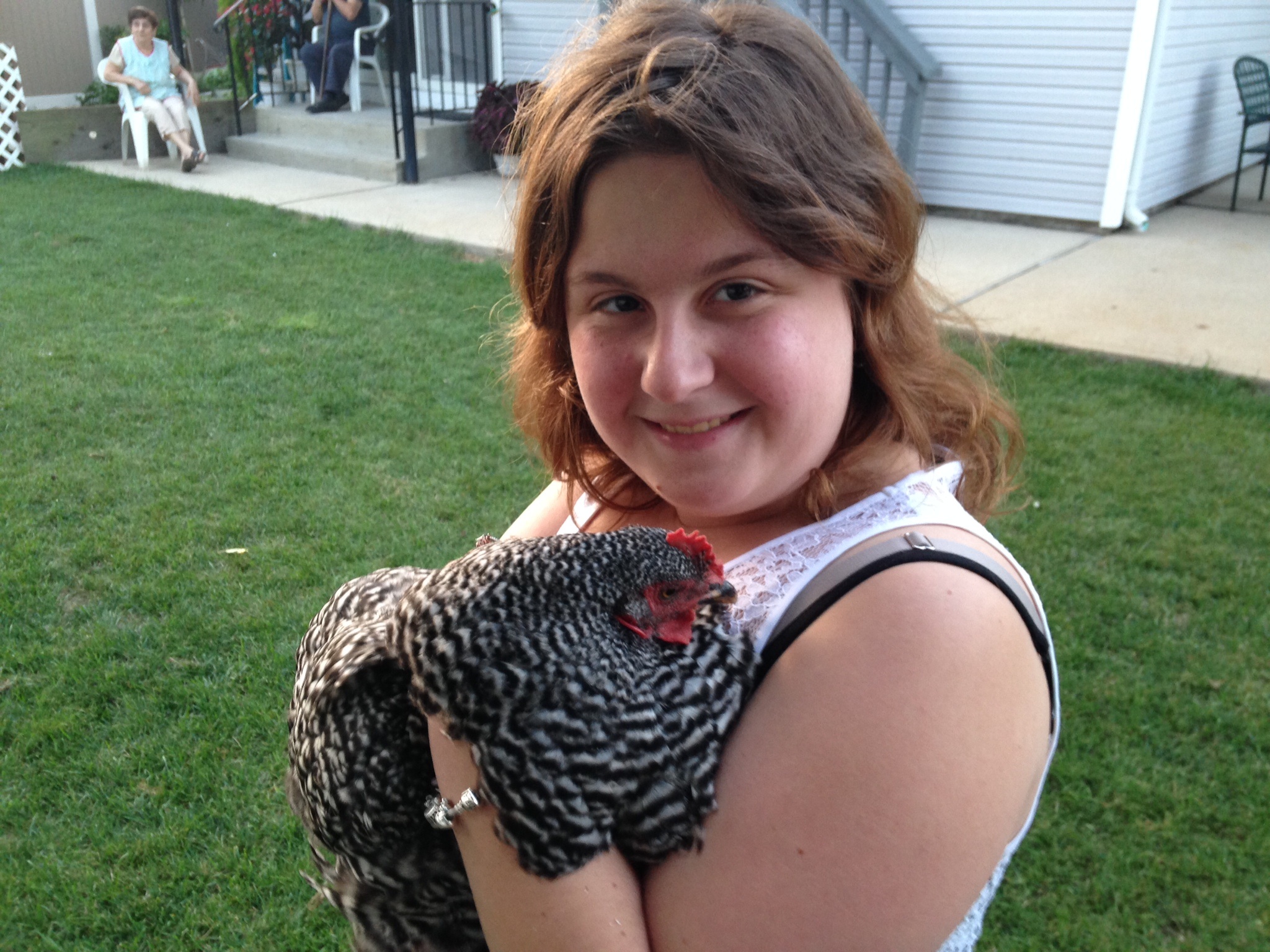 September 2014, my chick with our chick (now hen)