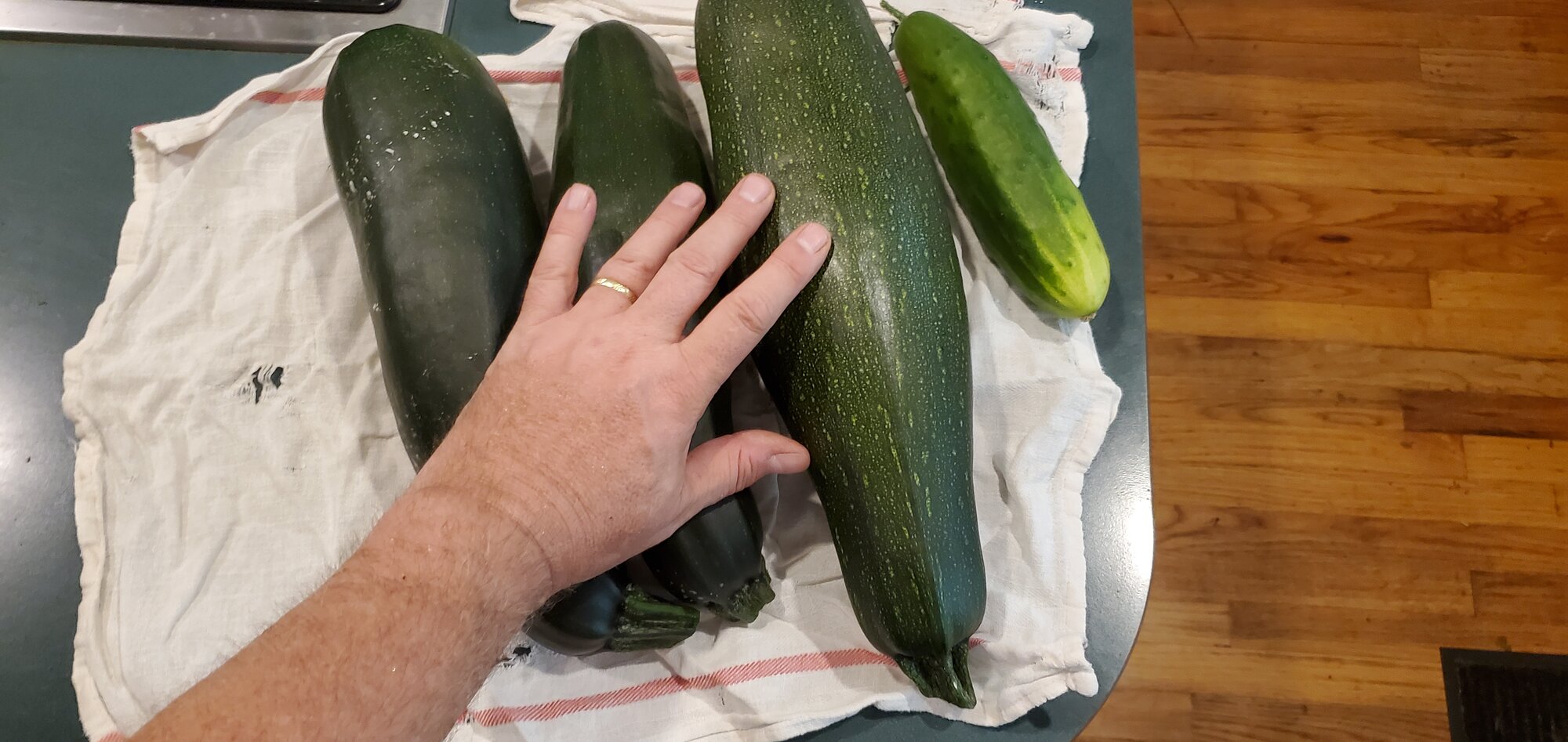 Sercond batch of Zucchini and cucumber