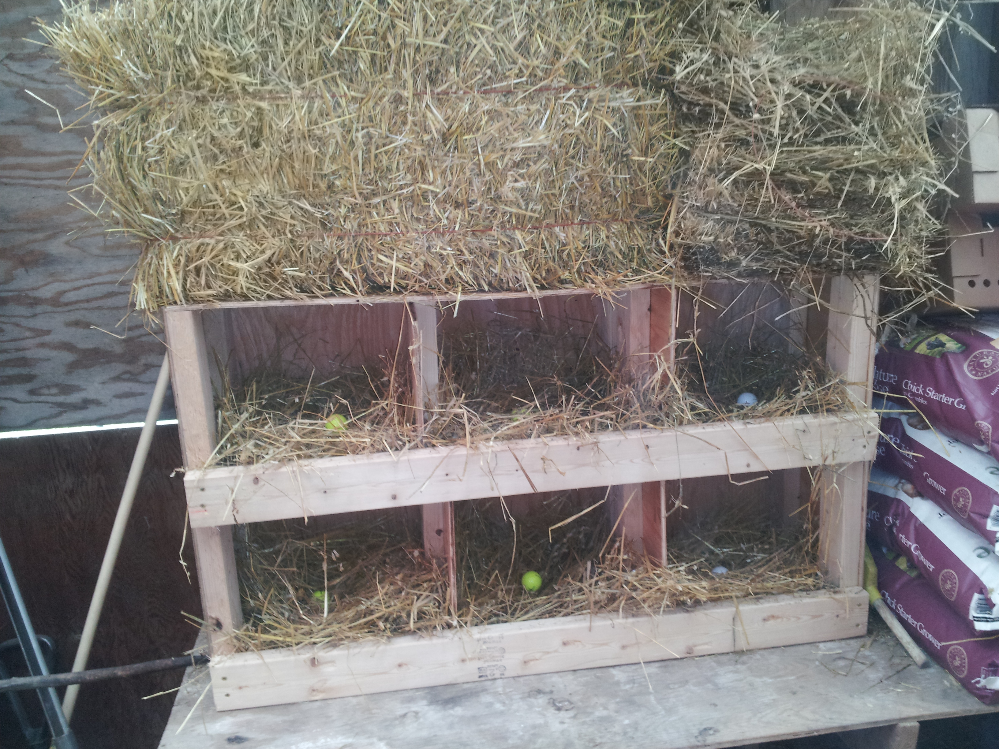 set up in the coop ready for the girls...
