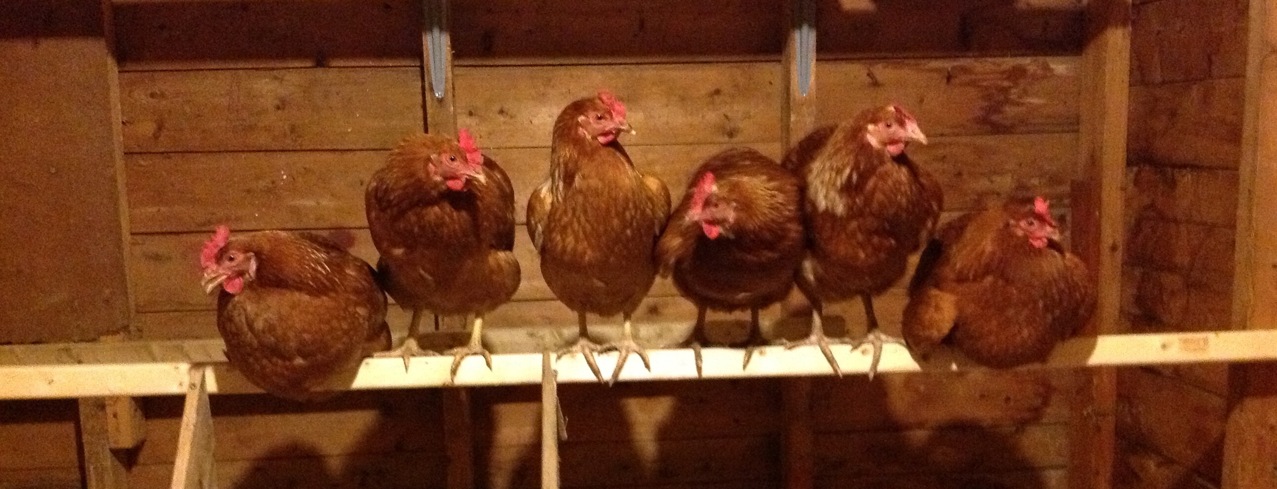 Settling in for the night