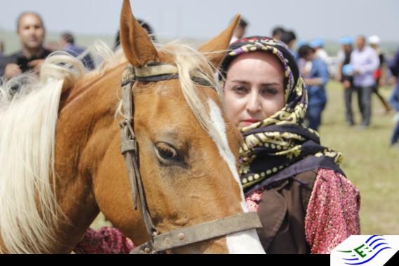 Shahsevan
Azerbaijan