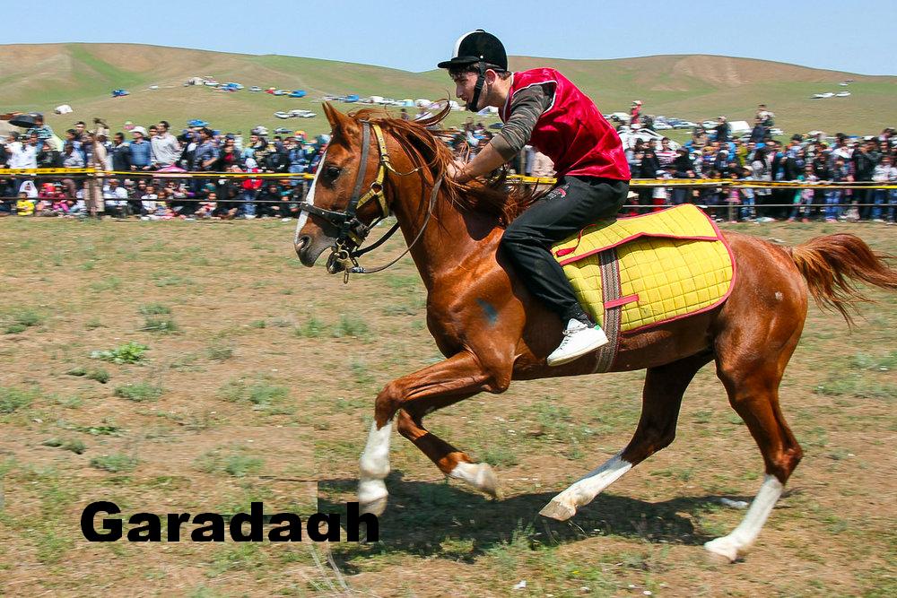Shahsevan
Azerbaijan