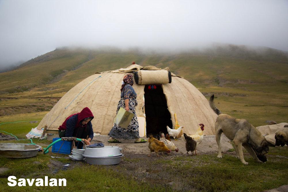 Shahsevan
Azerbaijan