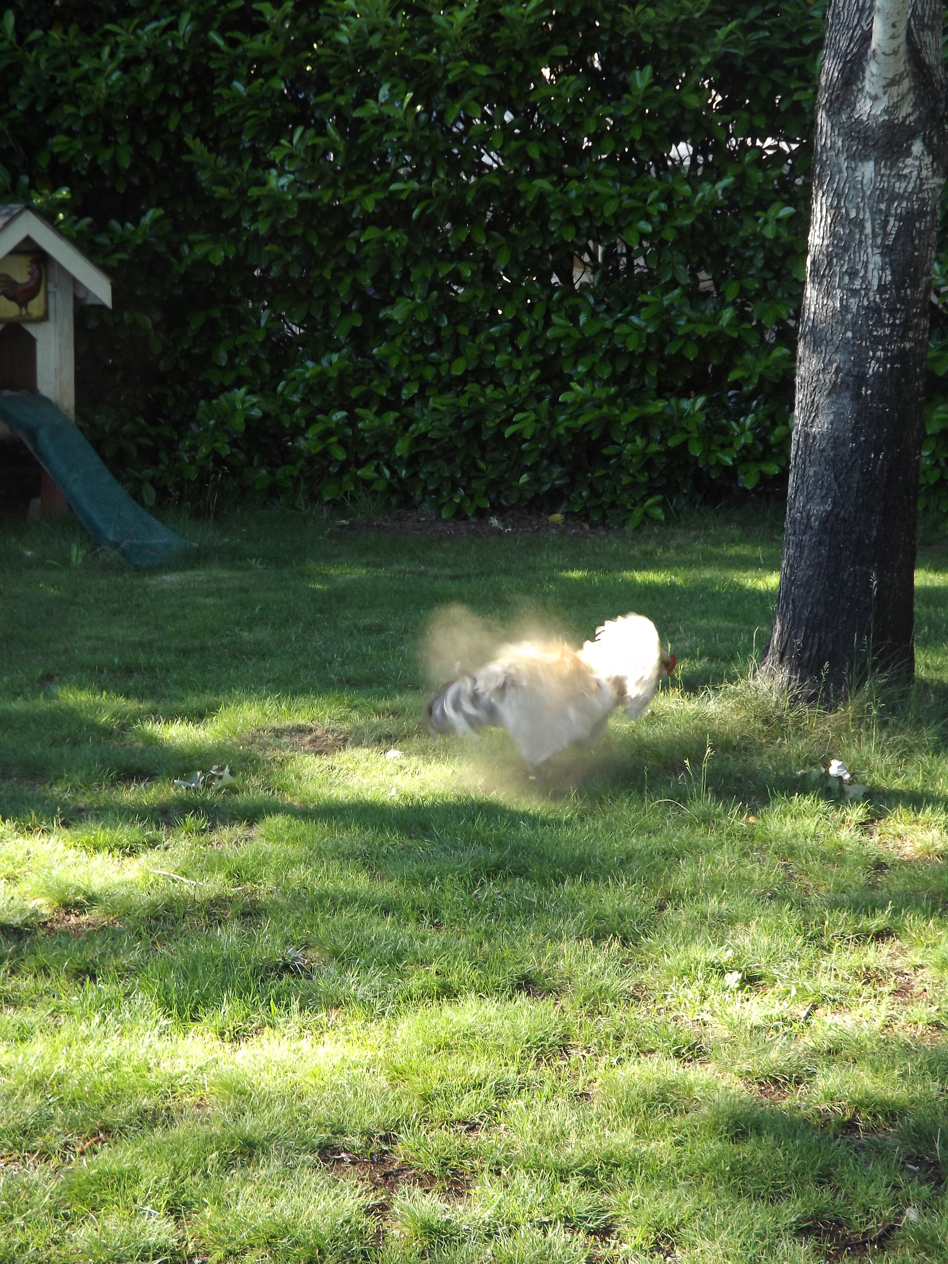 Shaking it off!