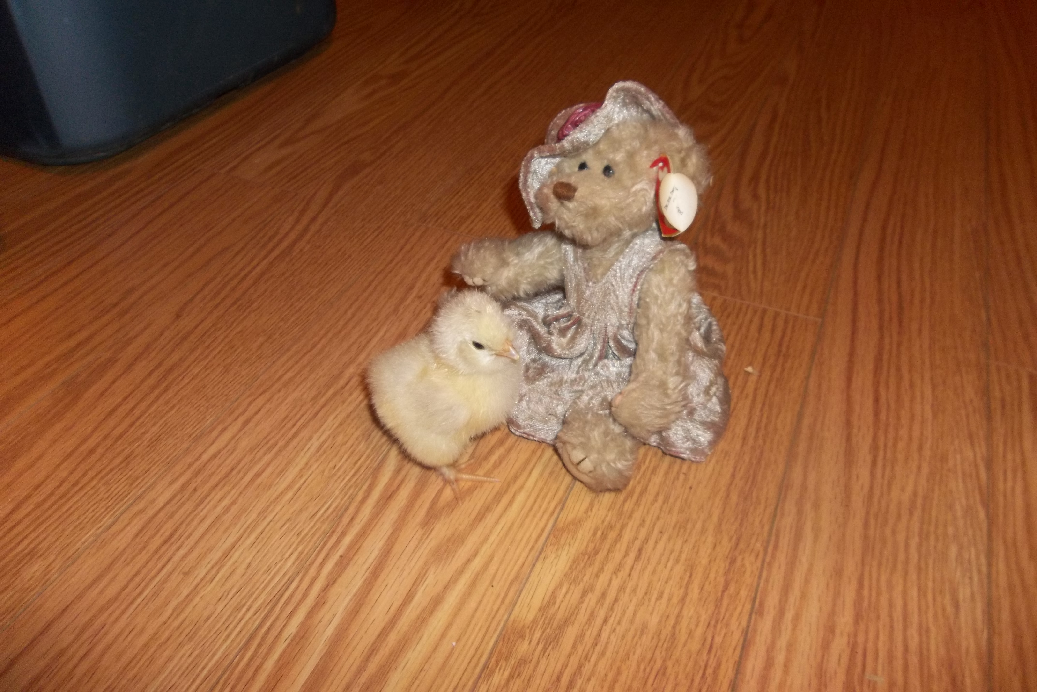 she about 1 day old!!!