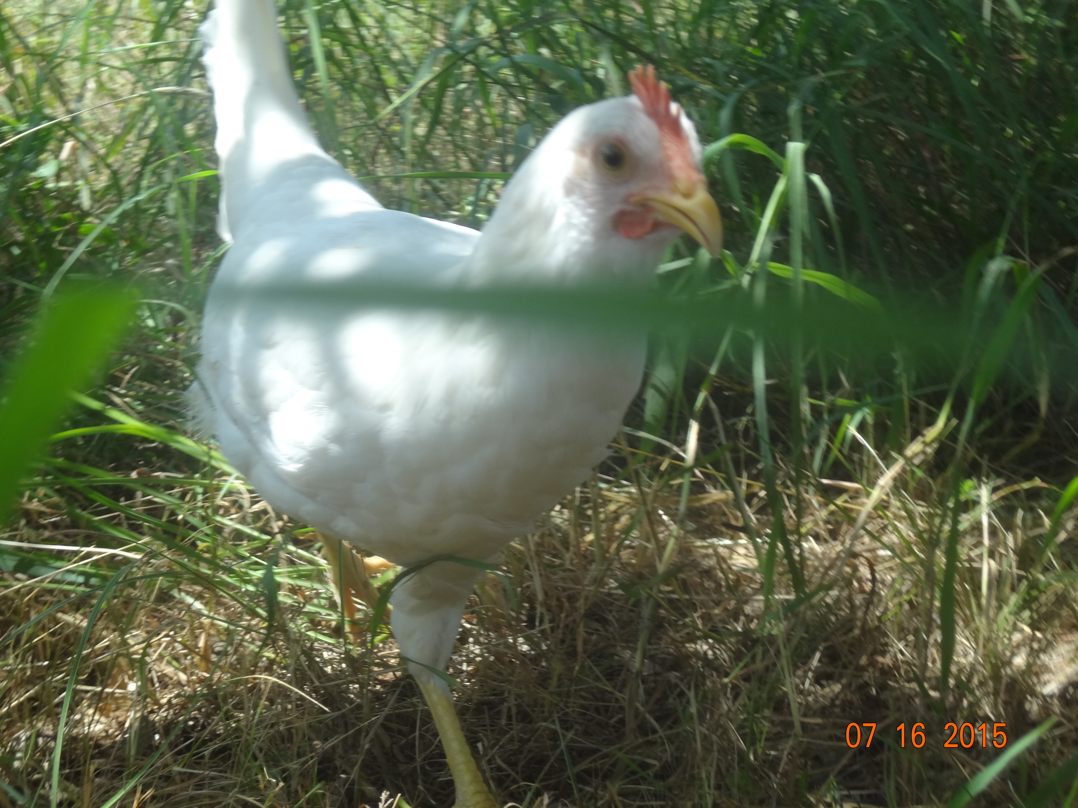 she almost got the camera. lol