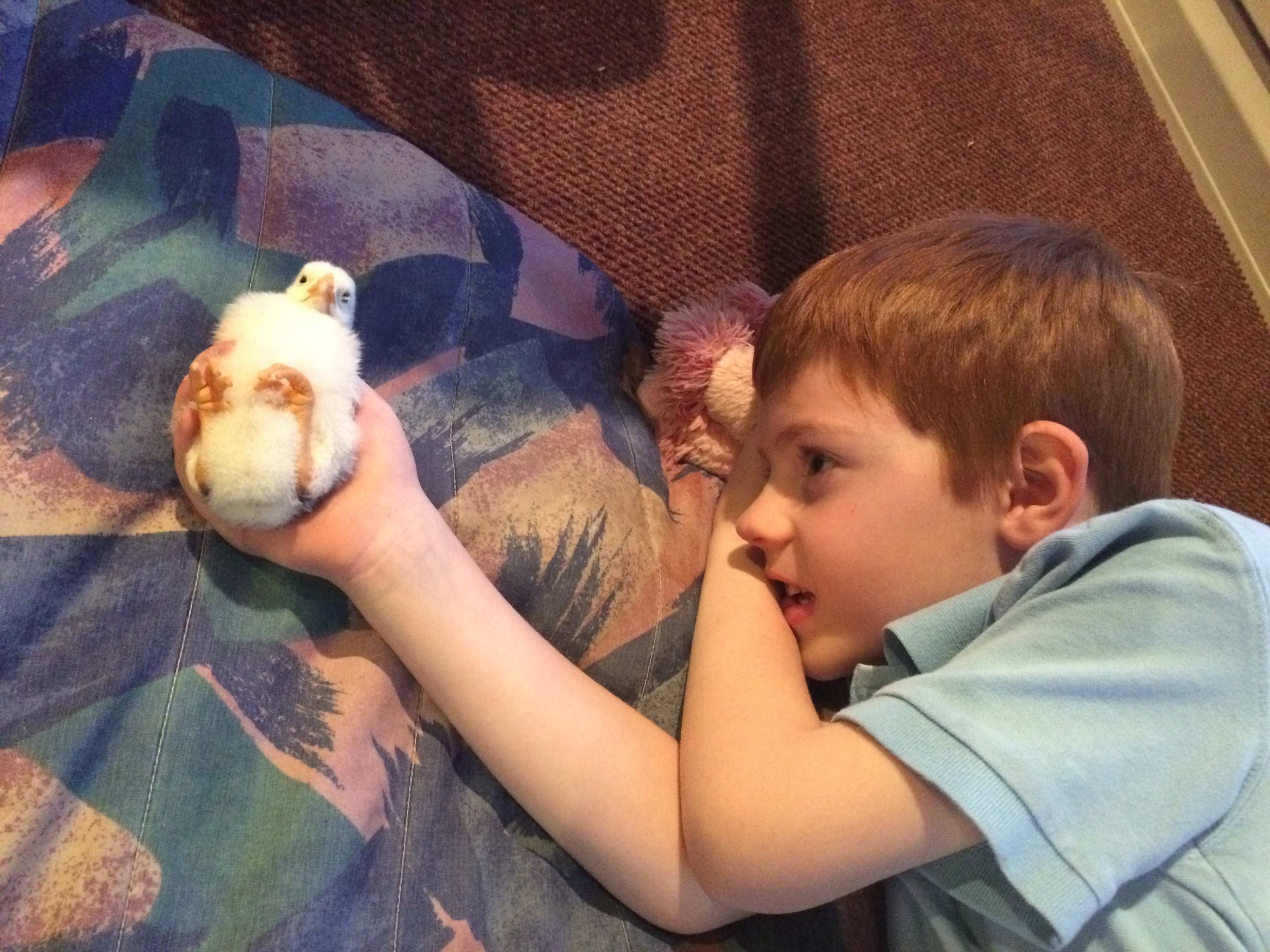 She fell asleep in his hand!!