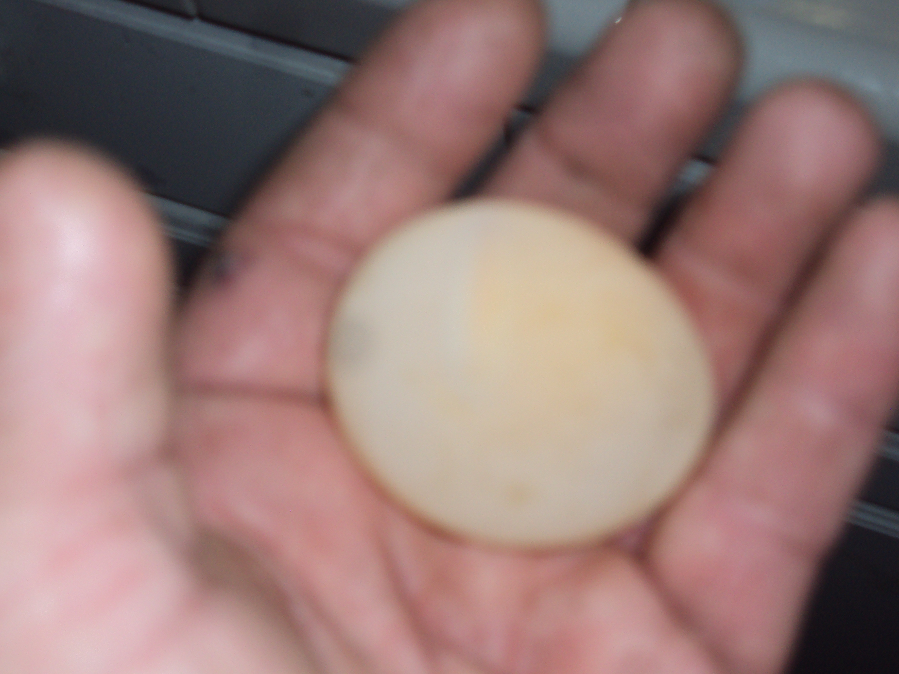 She forgot to put a shell on this one