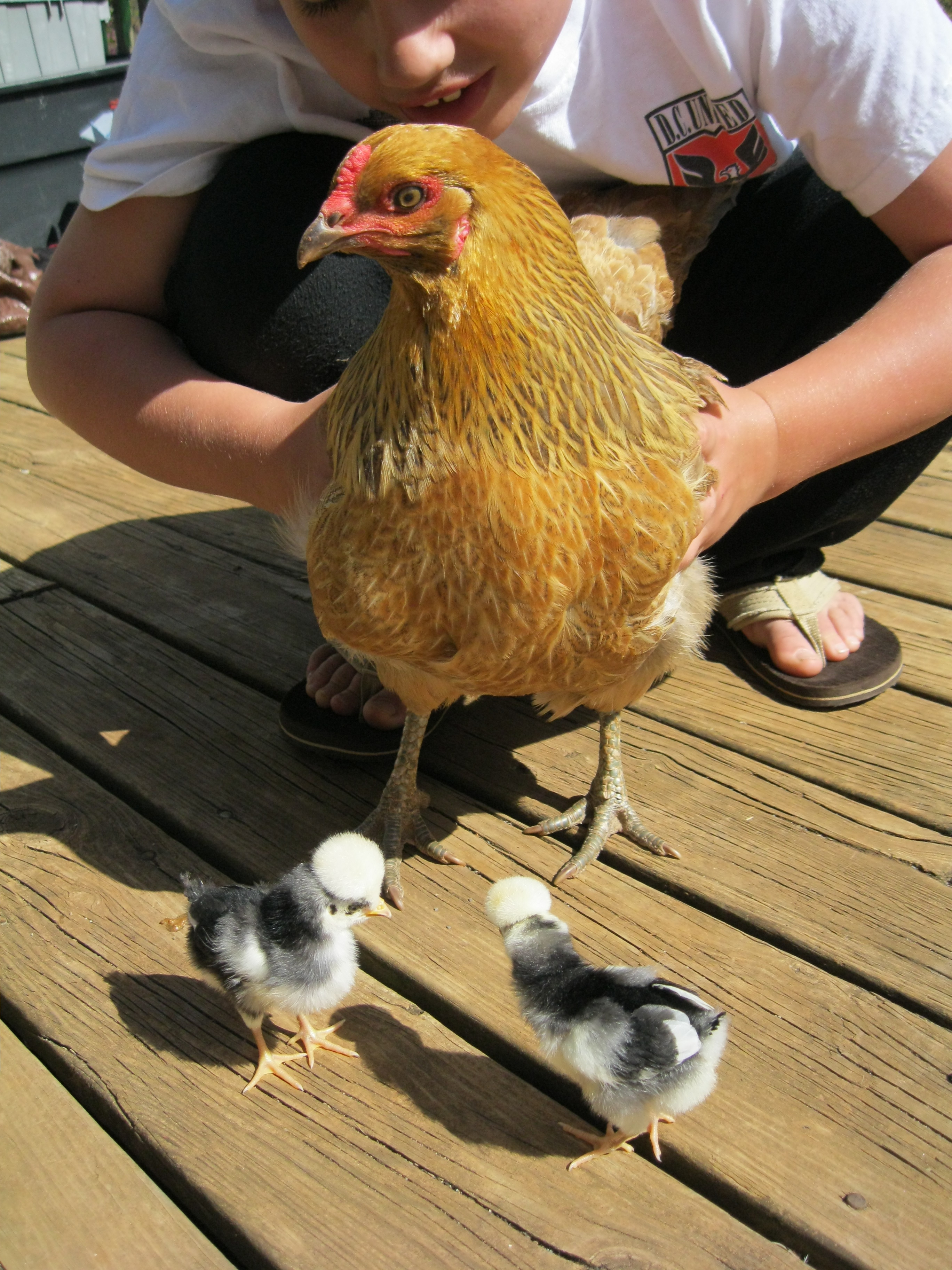 she got away very fast lol