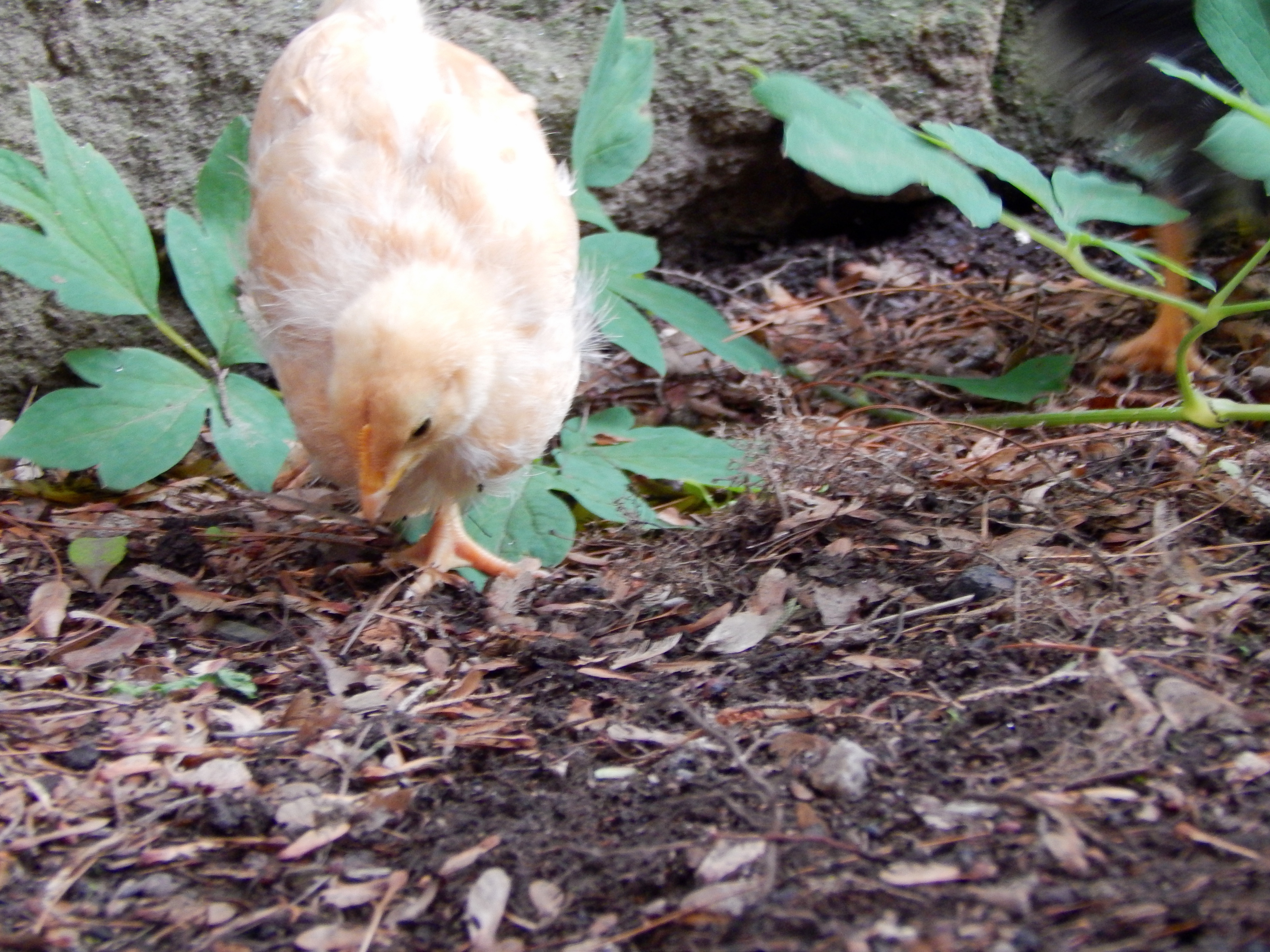 She knows the worms are below