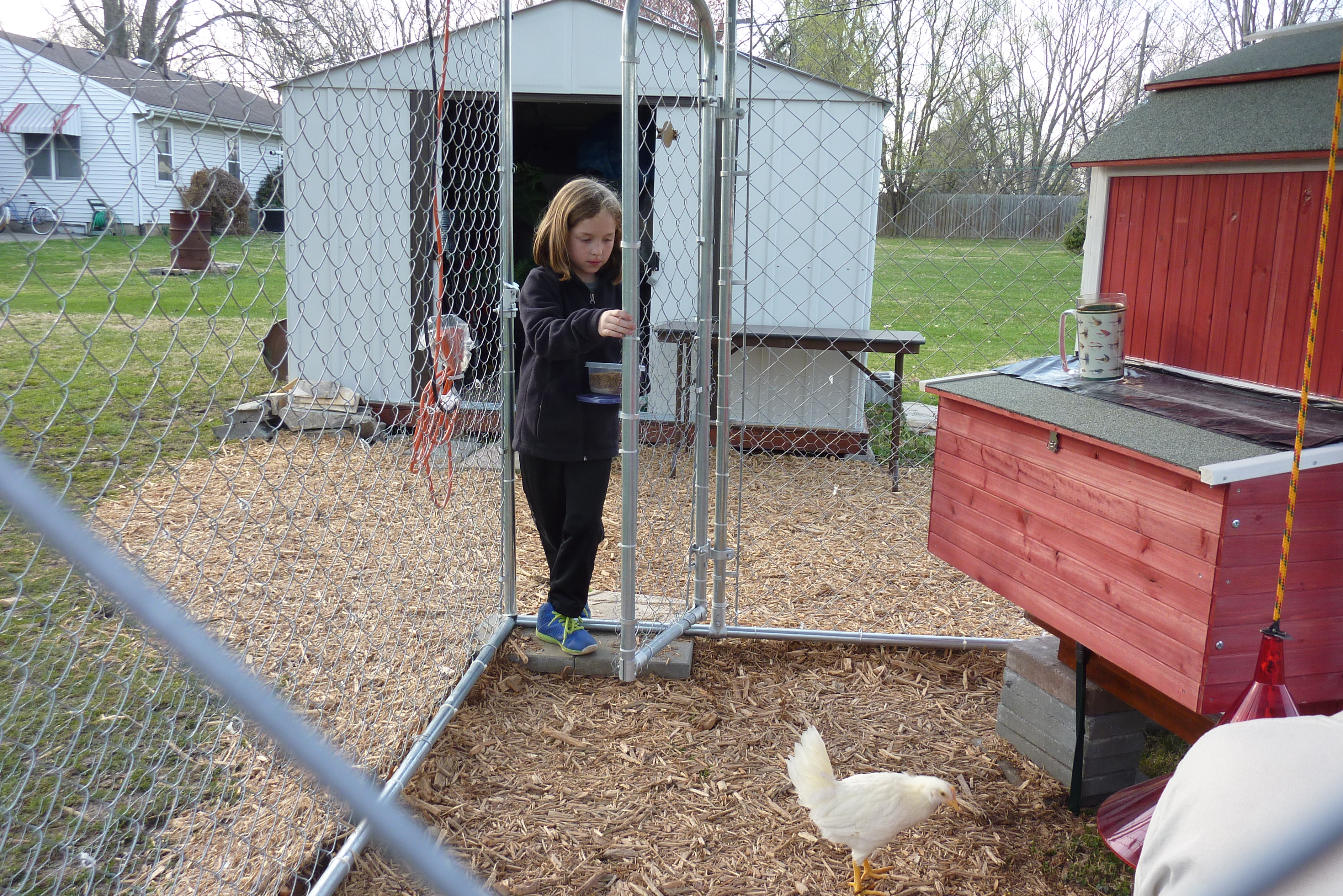 She Loves the Chickle-Wickles.......