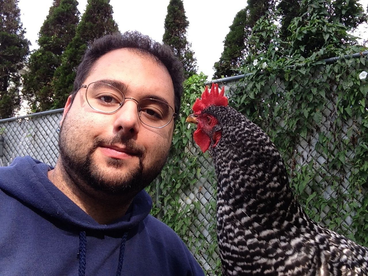 She was after my glasses