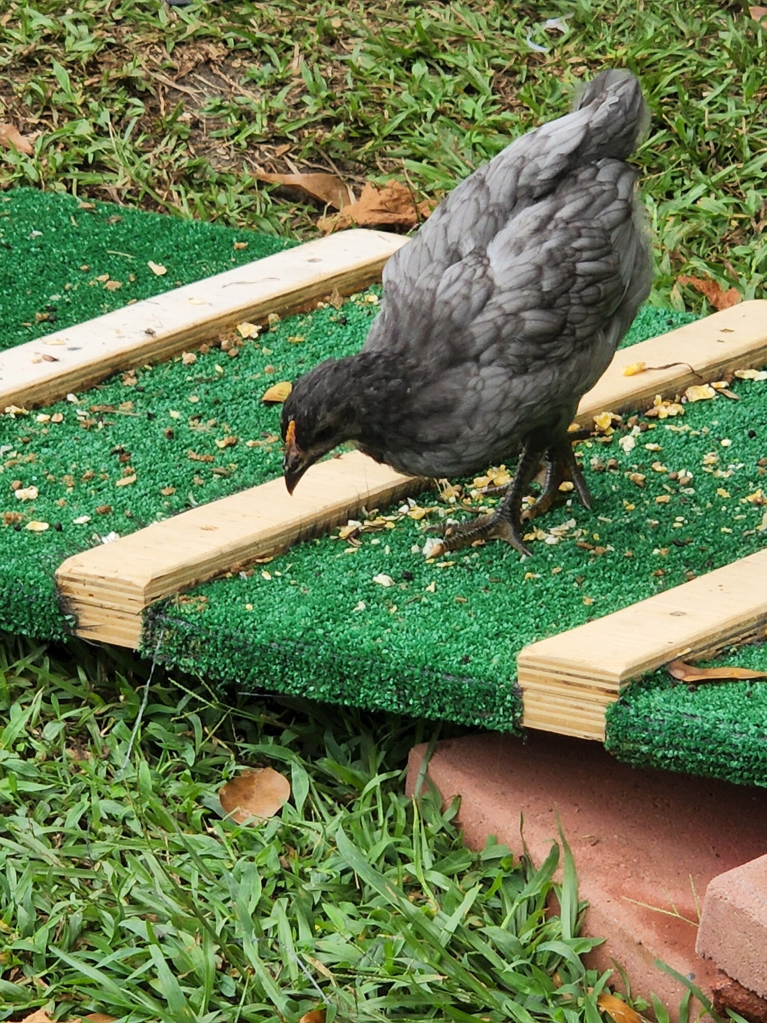 She was prissy as a baby