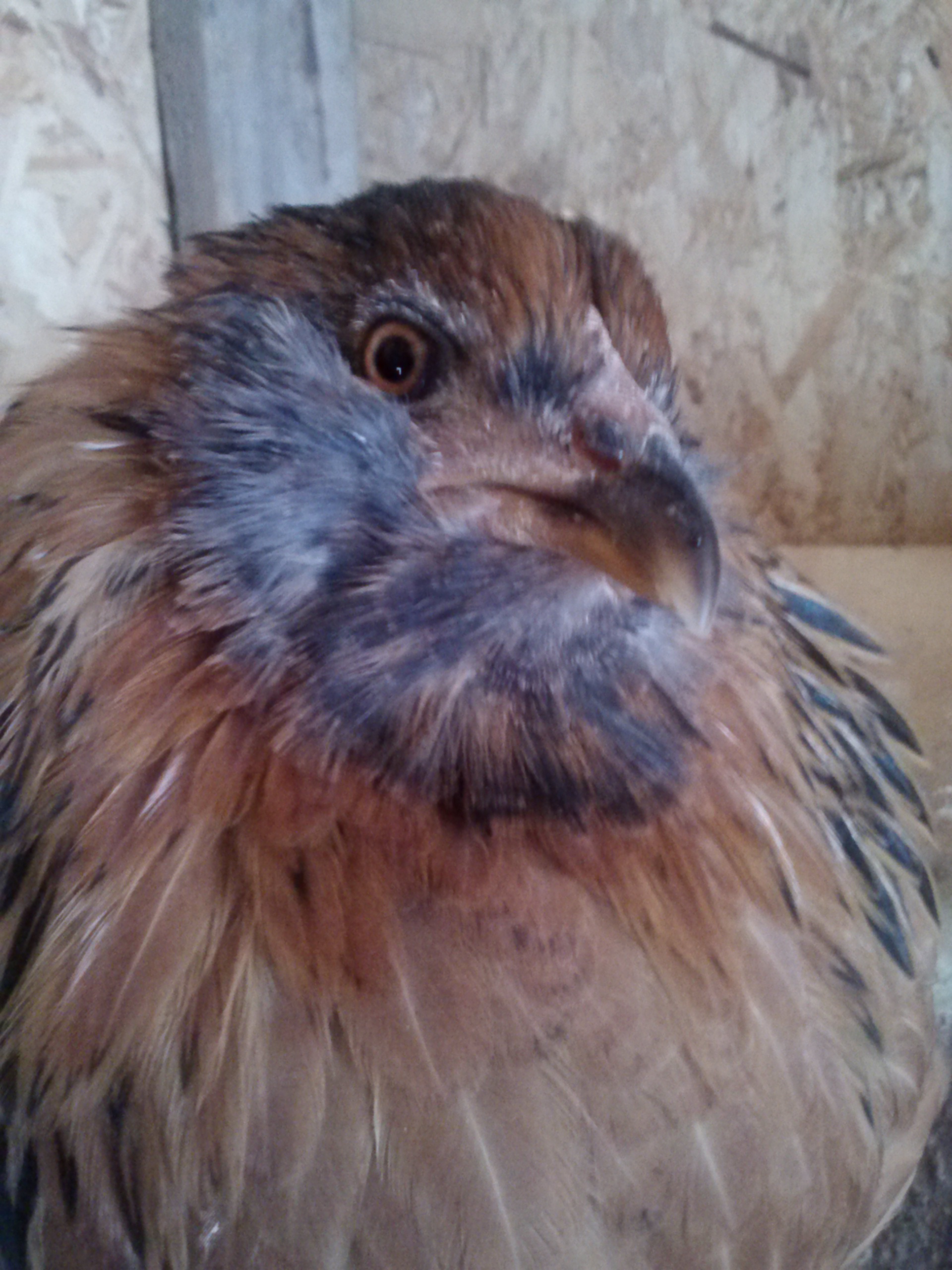 She was so ready for a close up! Jazzy