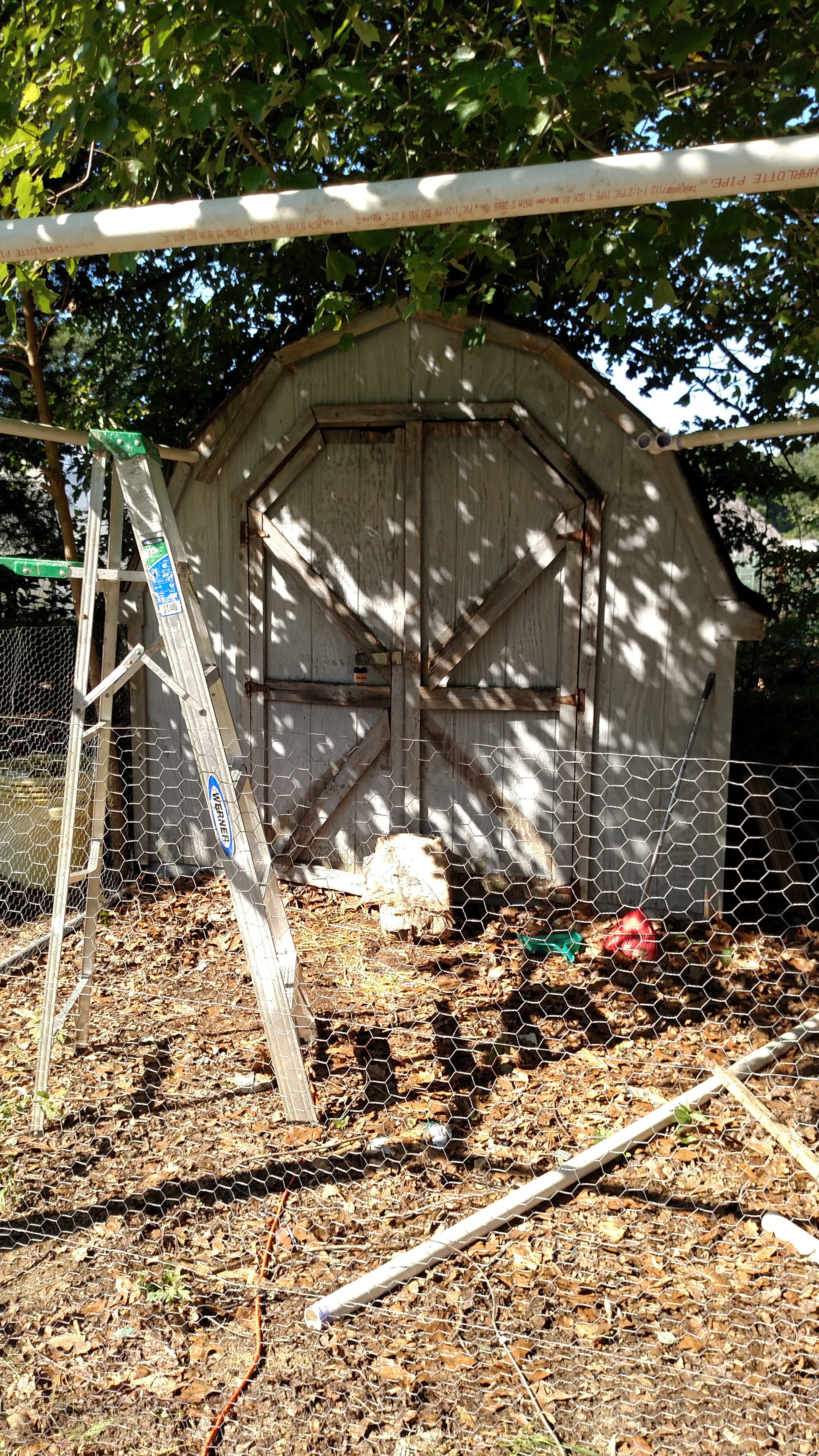 Shed in the process if conversion to a coop. 8/22/15
