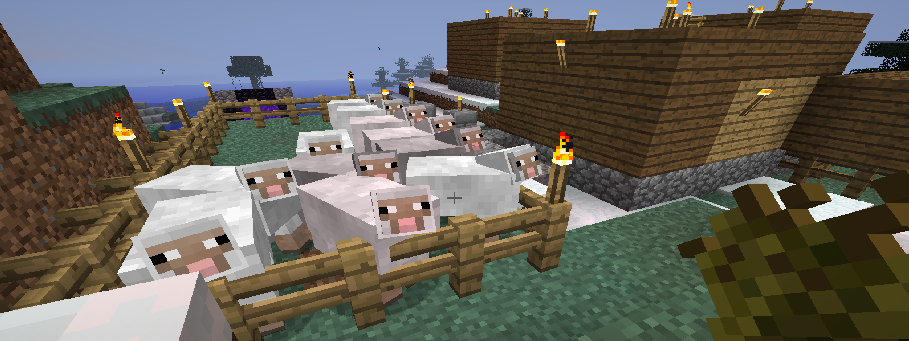 Sheepies in 1st Village wanting the Wheat