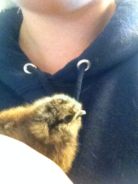 She's a cuddler