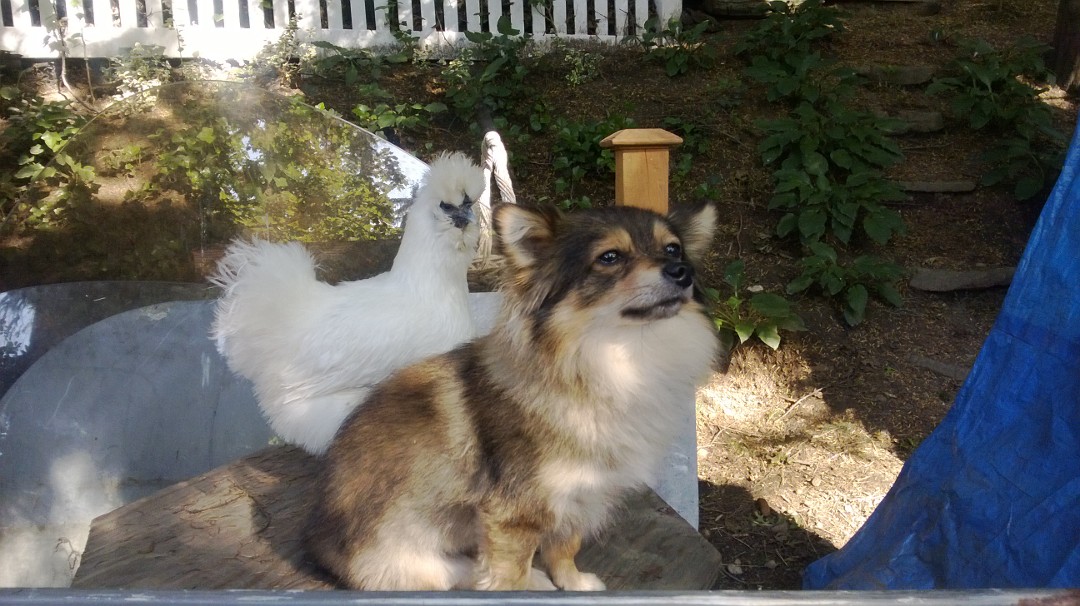 She's behind me isn't she?