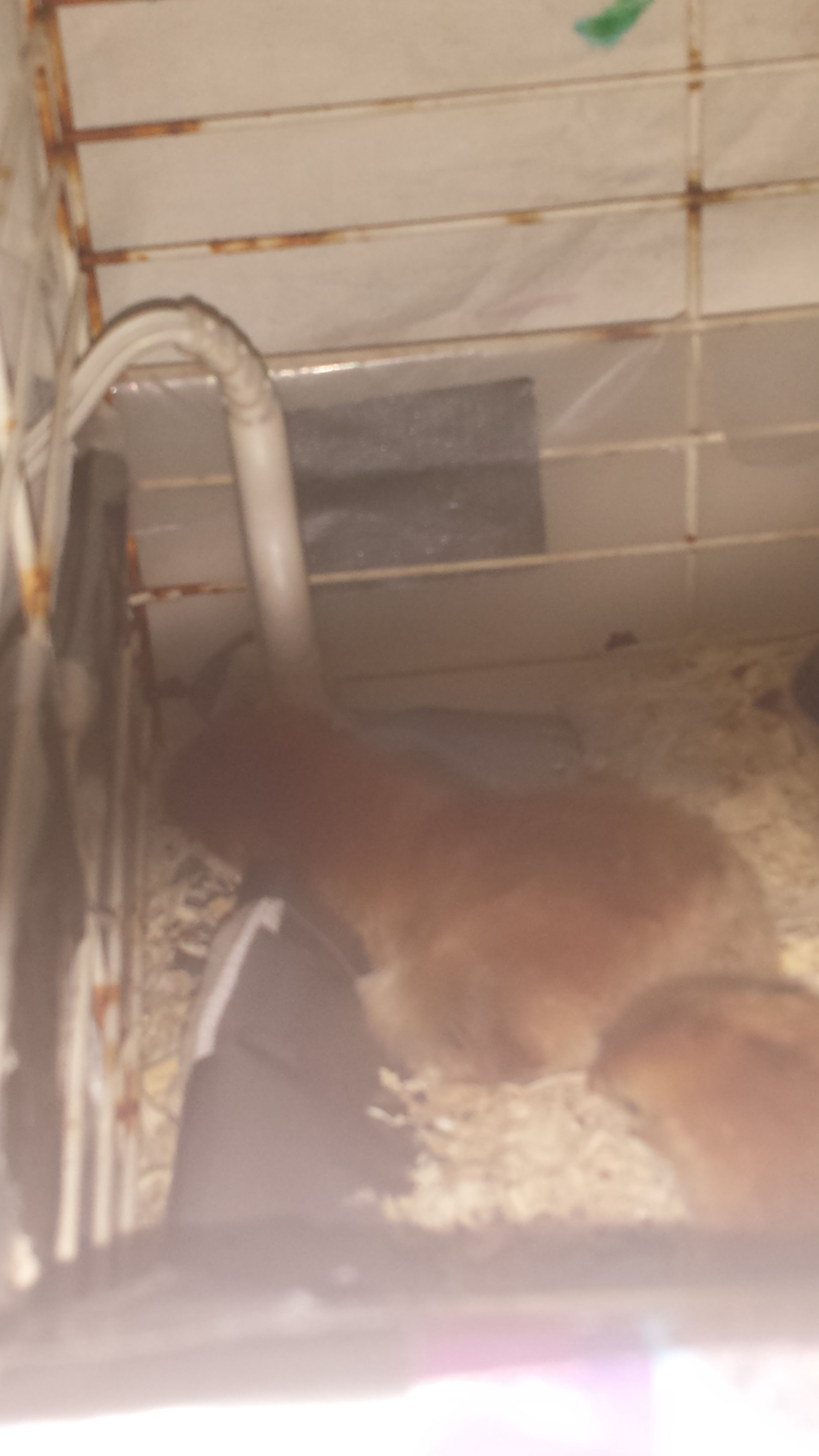 shes sleepin and usin the heat pad as a pillow to elevate her head