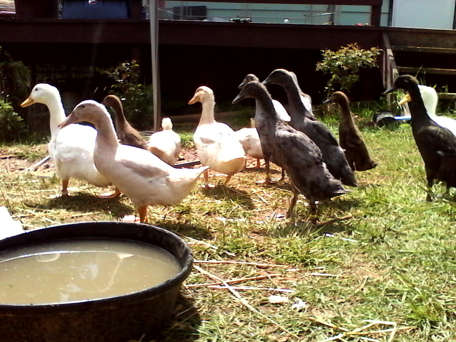 "She's taking pictures again.... run!"