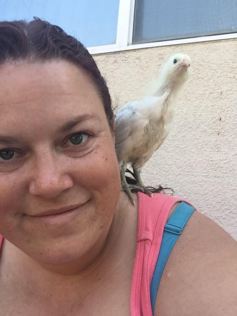 She's terrified of the other similar sized chicks and frequently sticks to my side, though freaks out if I pick her up lol