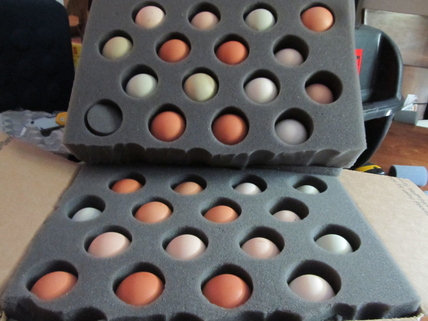 shipping eggs_1.jpg