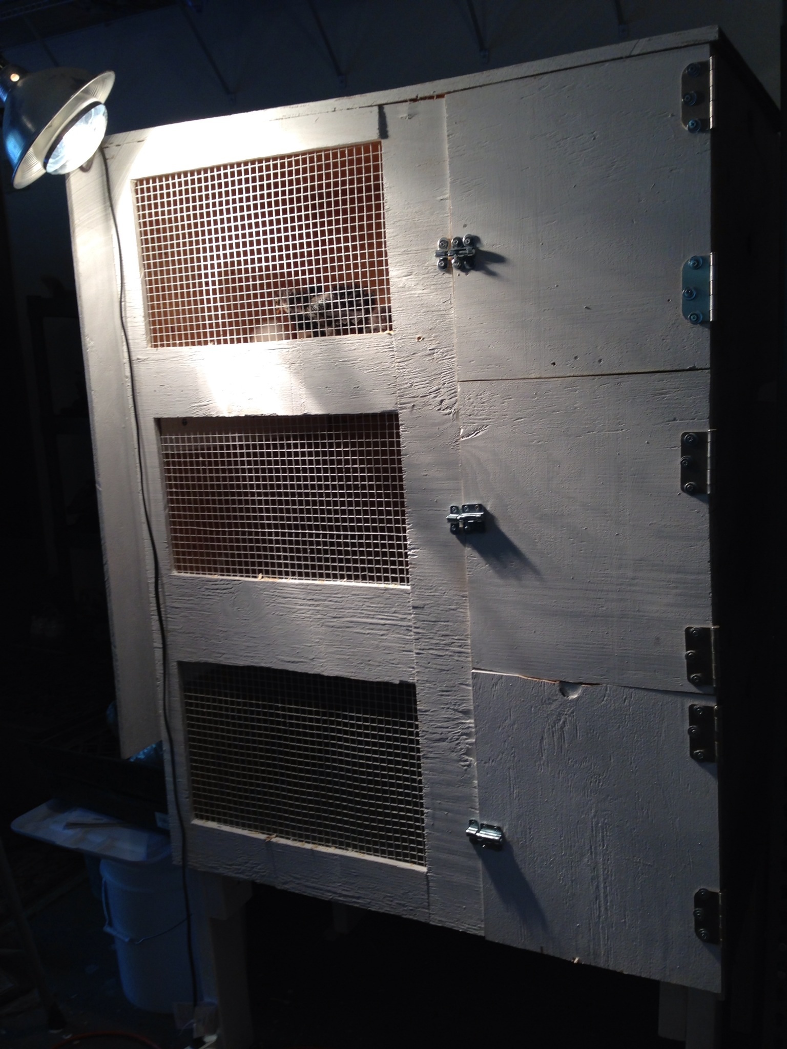 Shows the heat lamp clamped on a piece of wood we atrached on the left side of the cabinet to heat the birds.