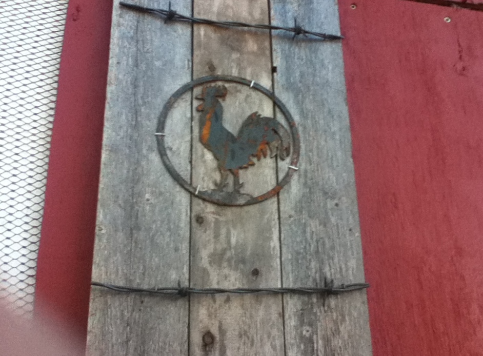 Shutters made out of old wood and our old barb wire fence we replaced