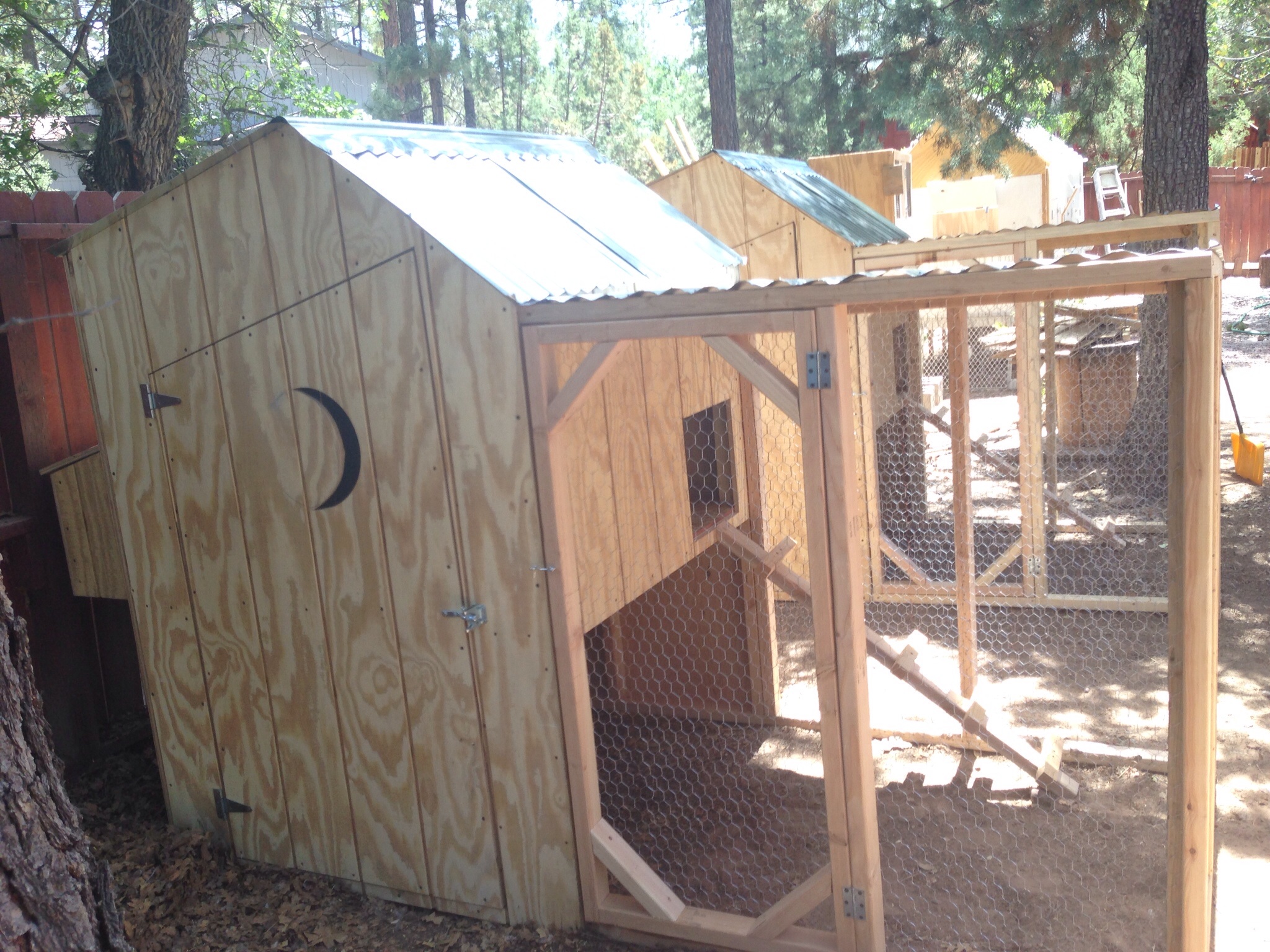 Side by side outhouse coops for the Marans and the future Croad Langshans